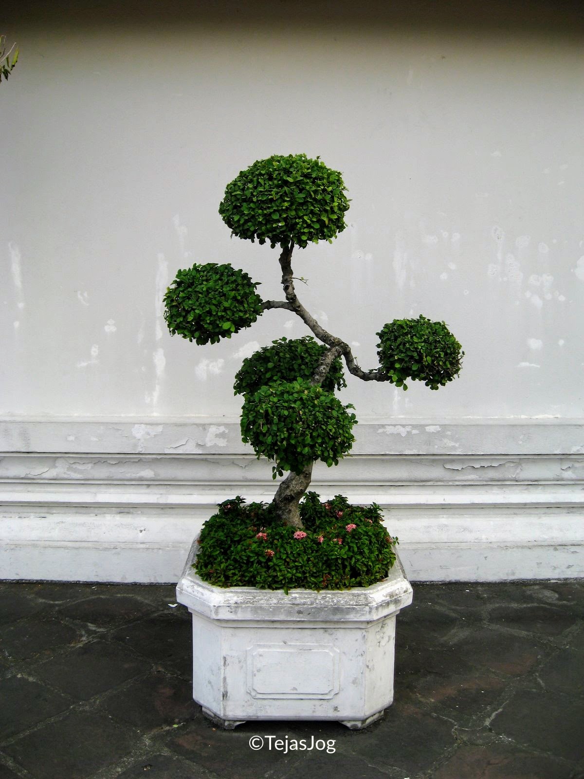 Wat Phra Chetuphon Wimon Mangkhalaram Rajwaramahawihan