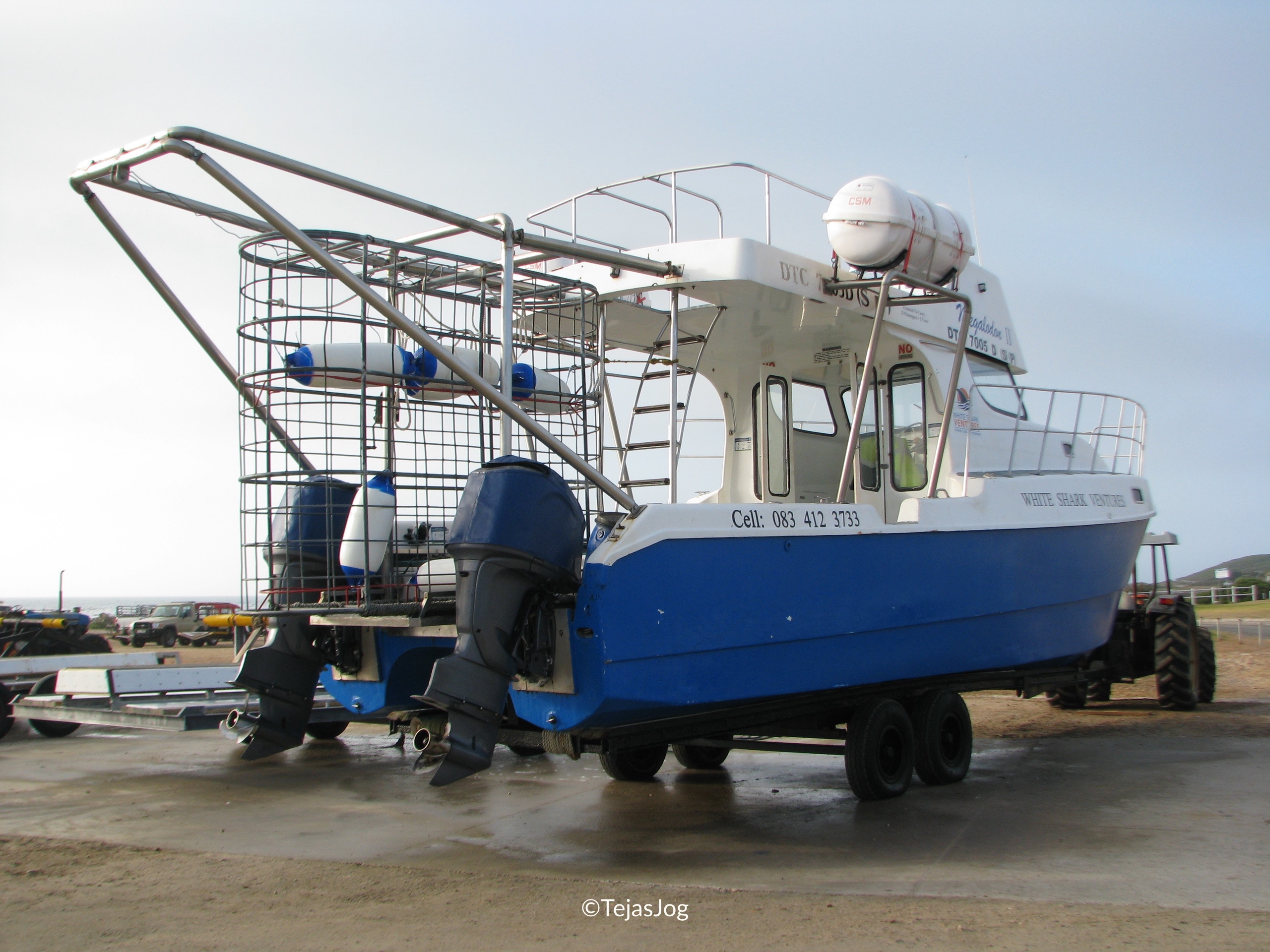 White Shark Ventures