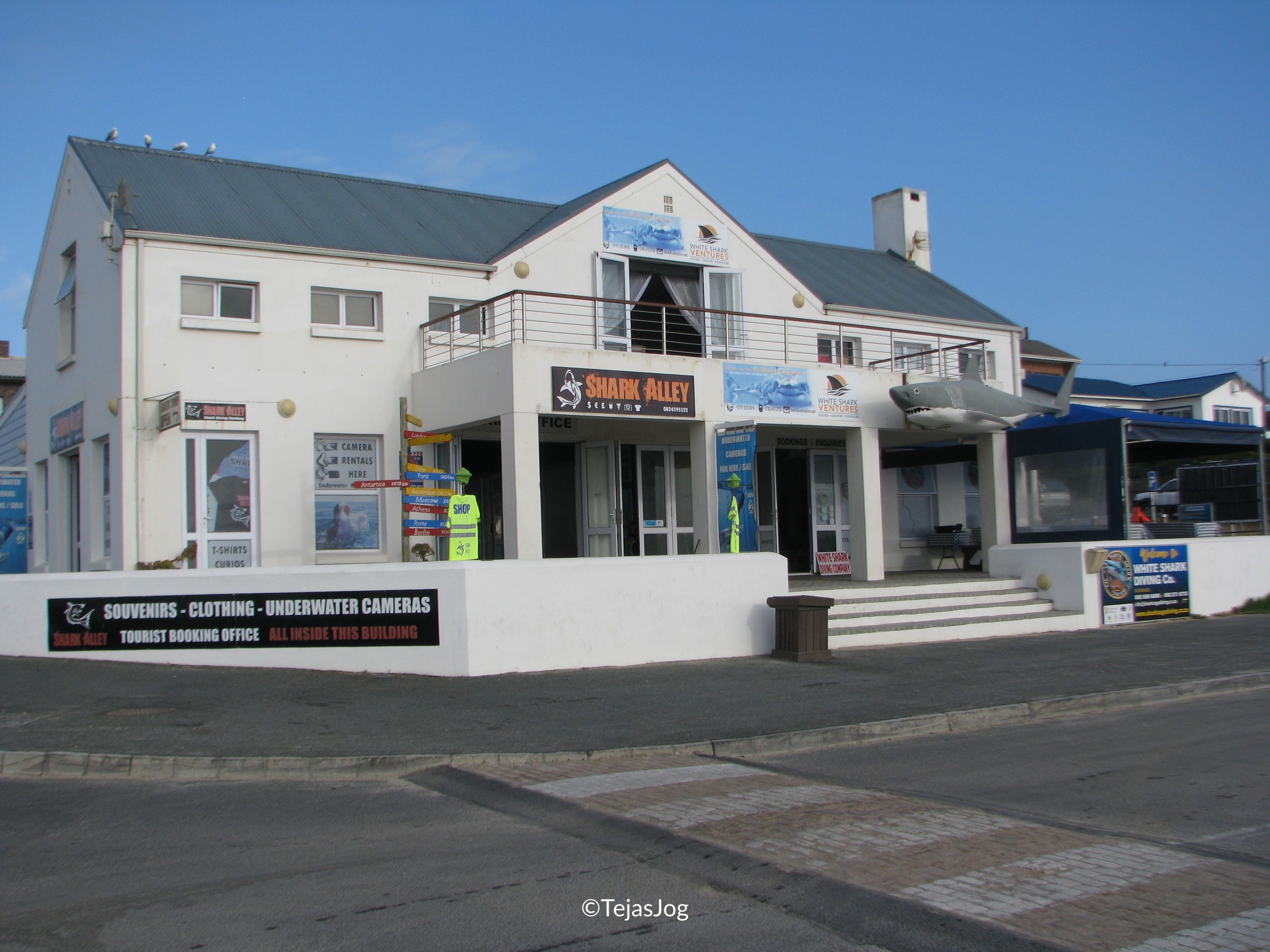 White Shark Ventures