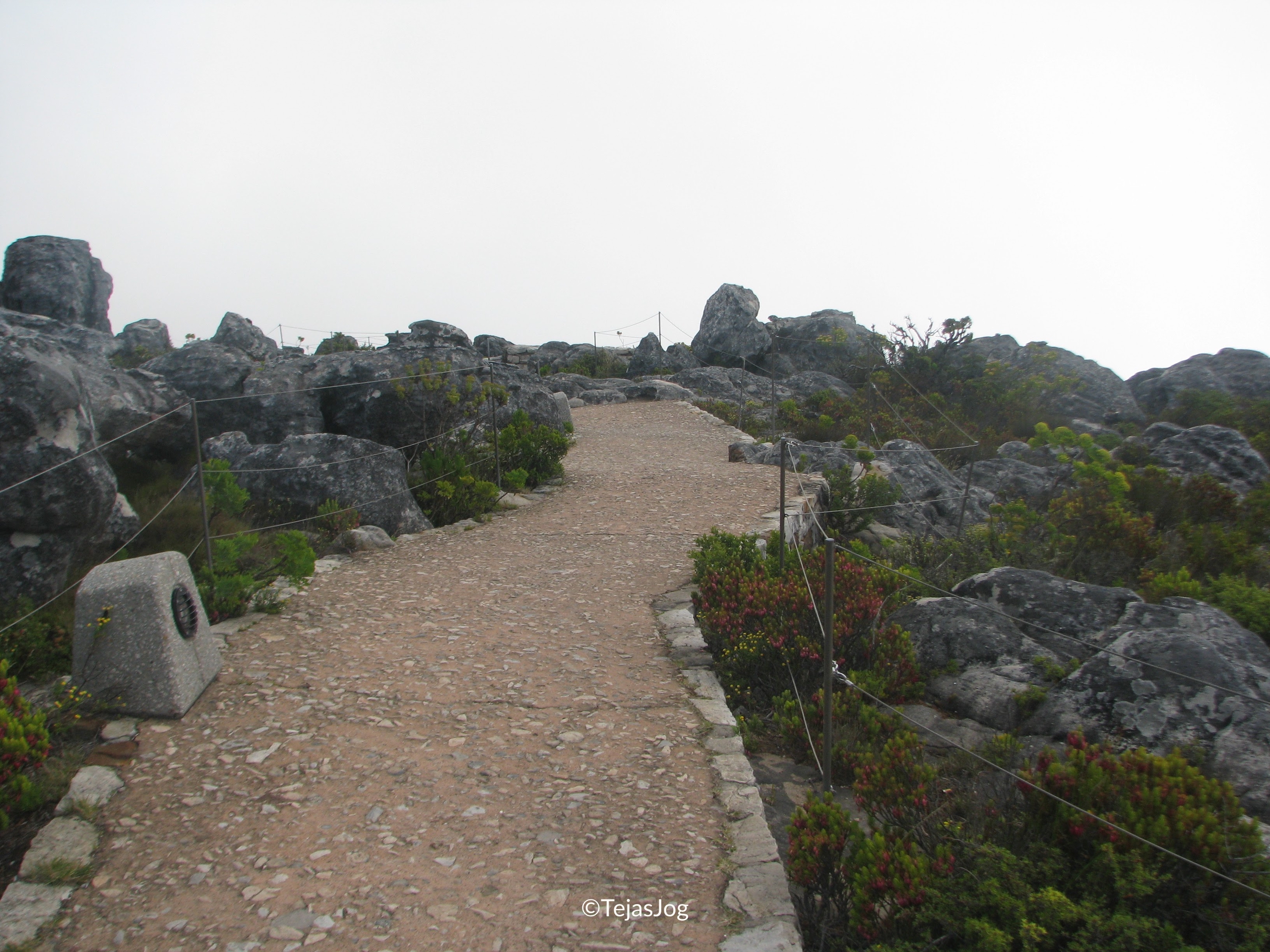 Table Mountain Nature Reserve