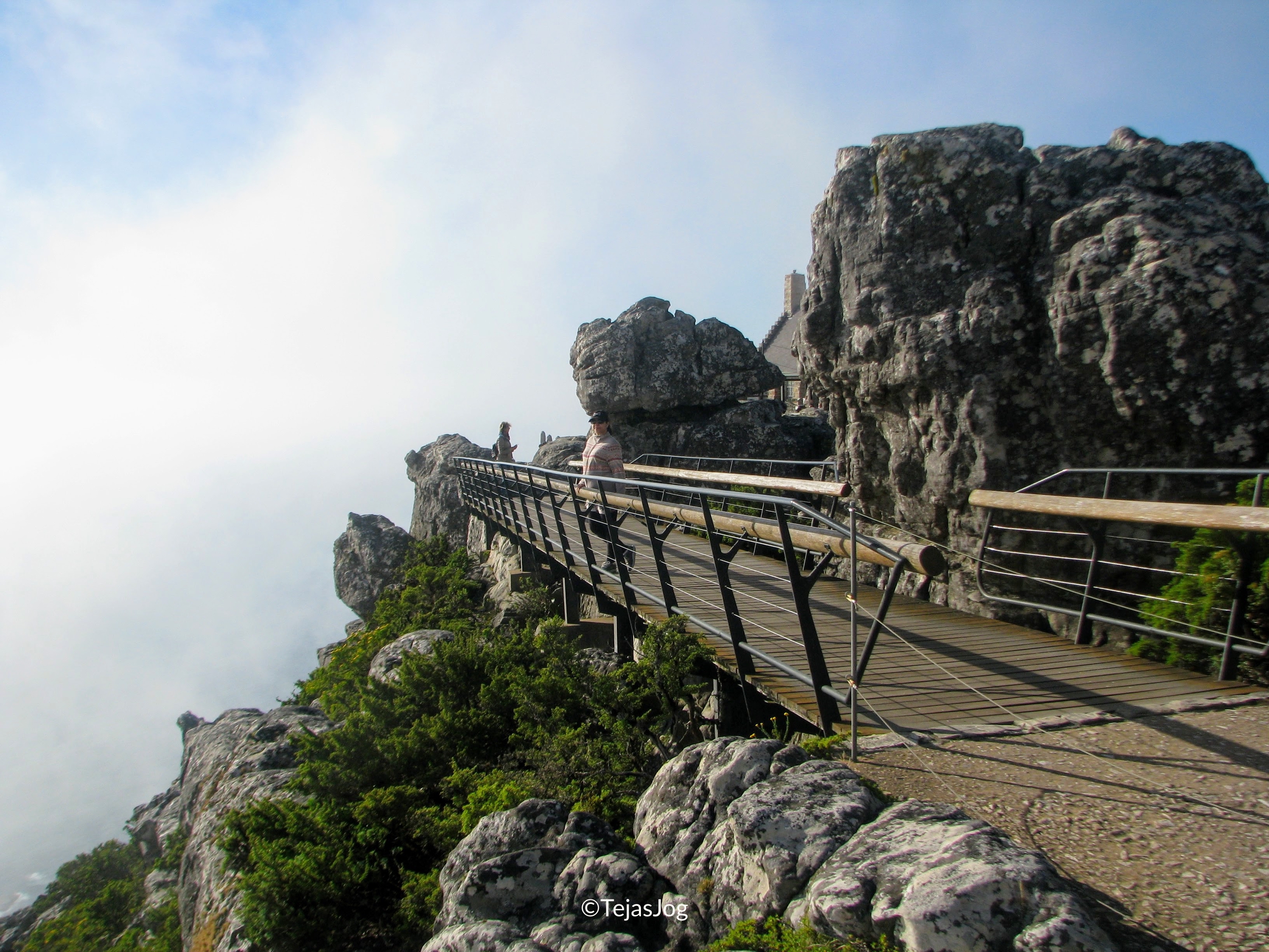 Table Mountain Nature Reserve