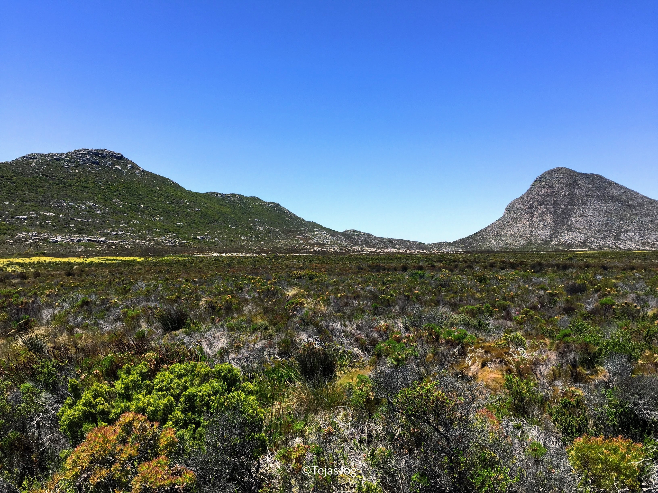 Bicycle ride at Cape Point Nature Reserve