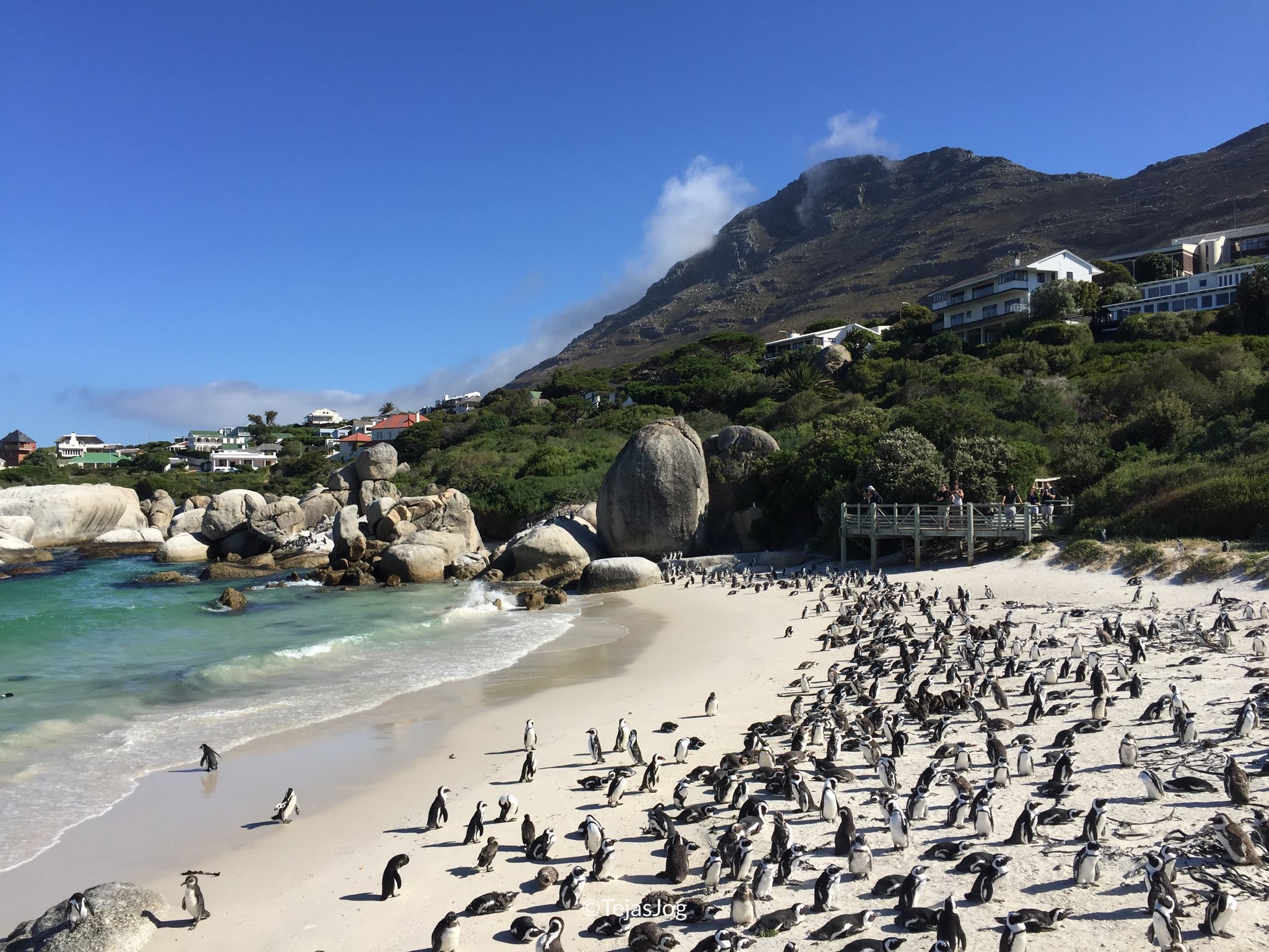 Boulders Beach