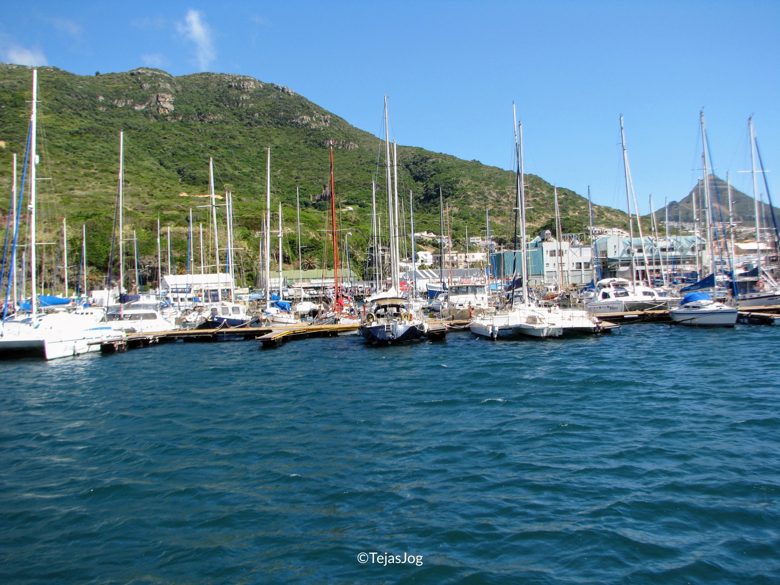 Hout Bay harbour