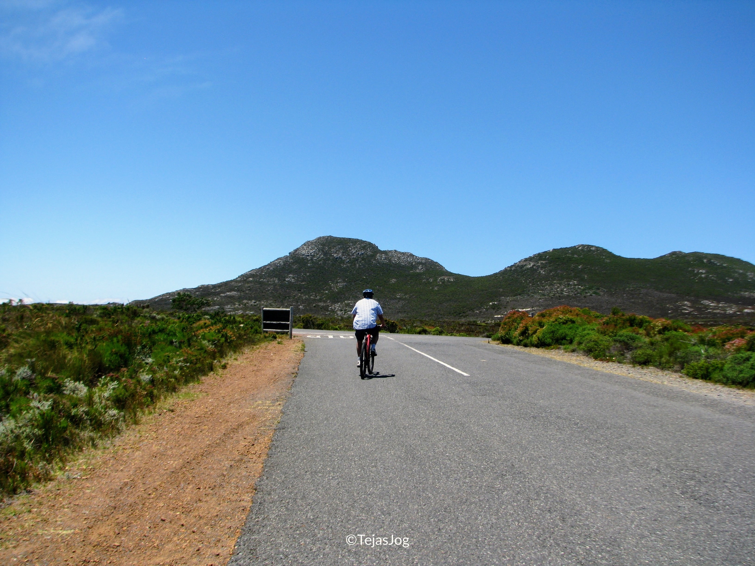 Bicycle ride at Cape Point Nature Reserve