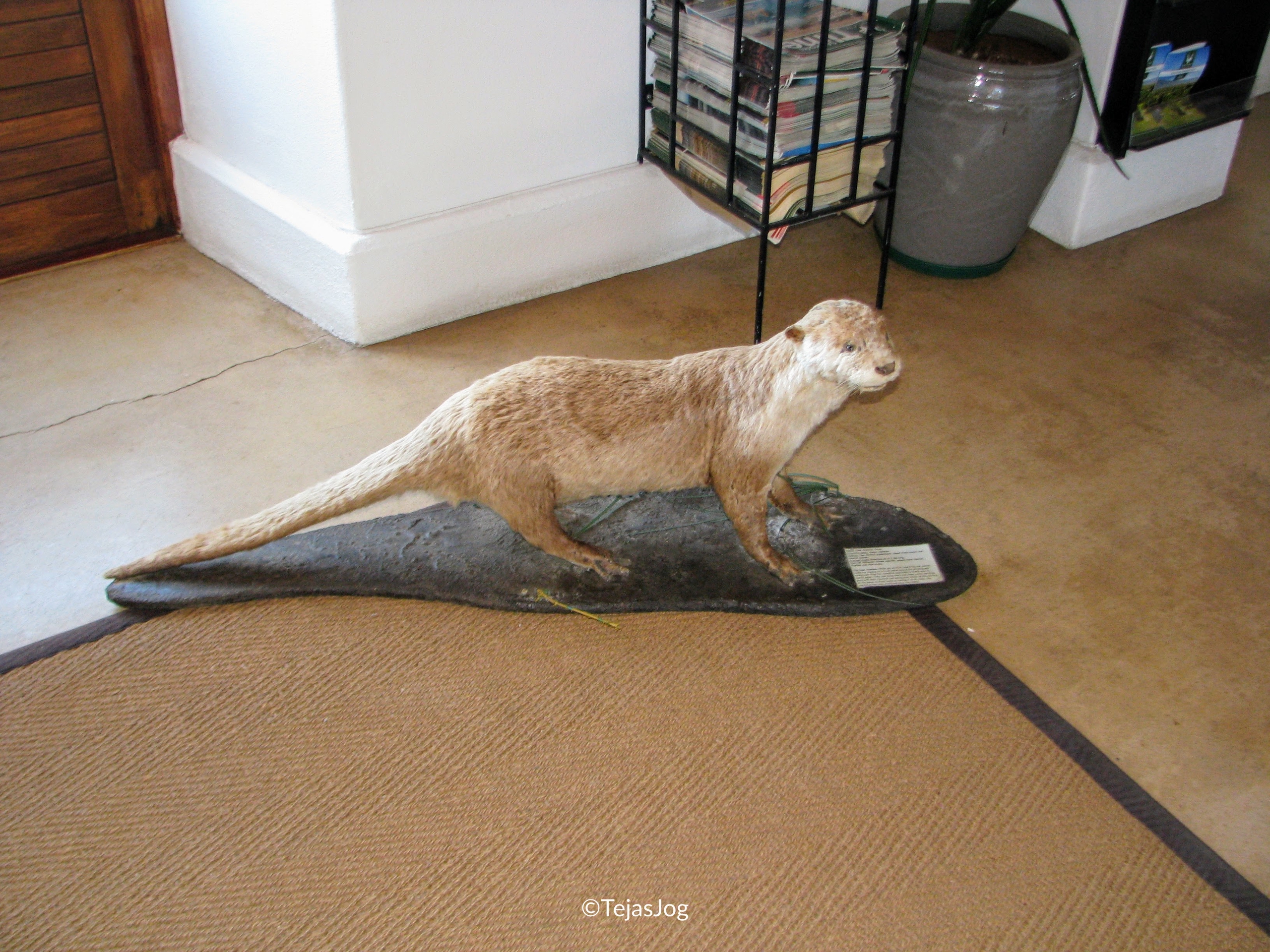 Tourist information Centre