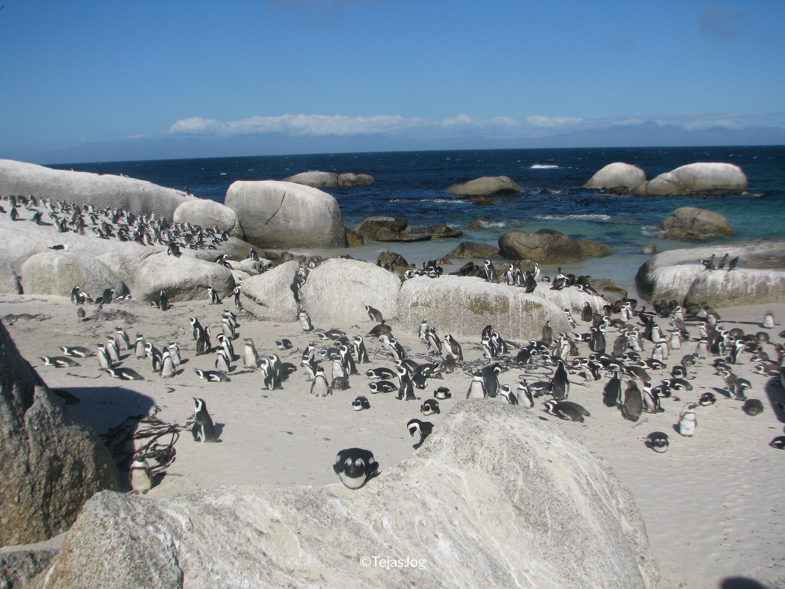 Boulders Beach