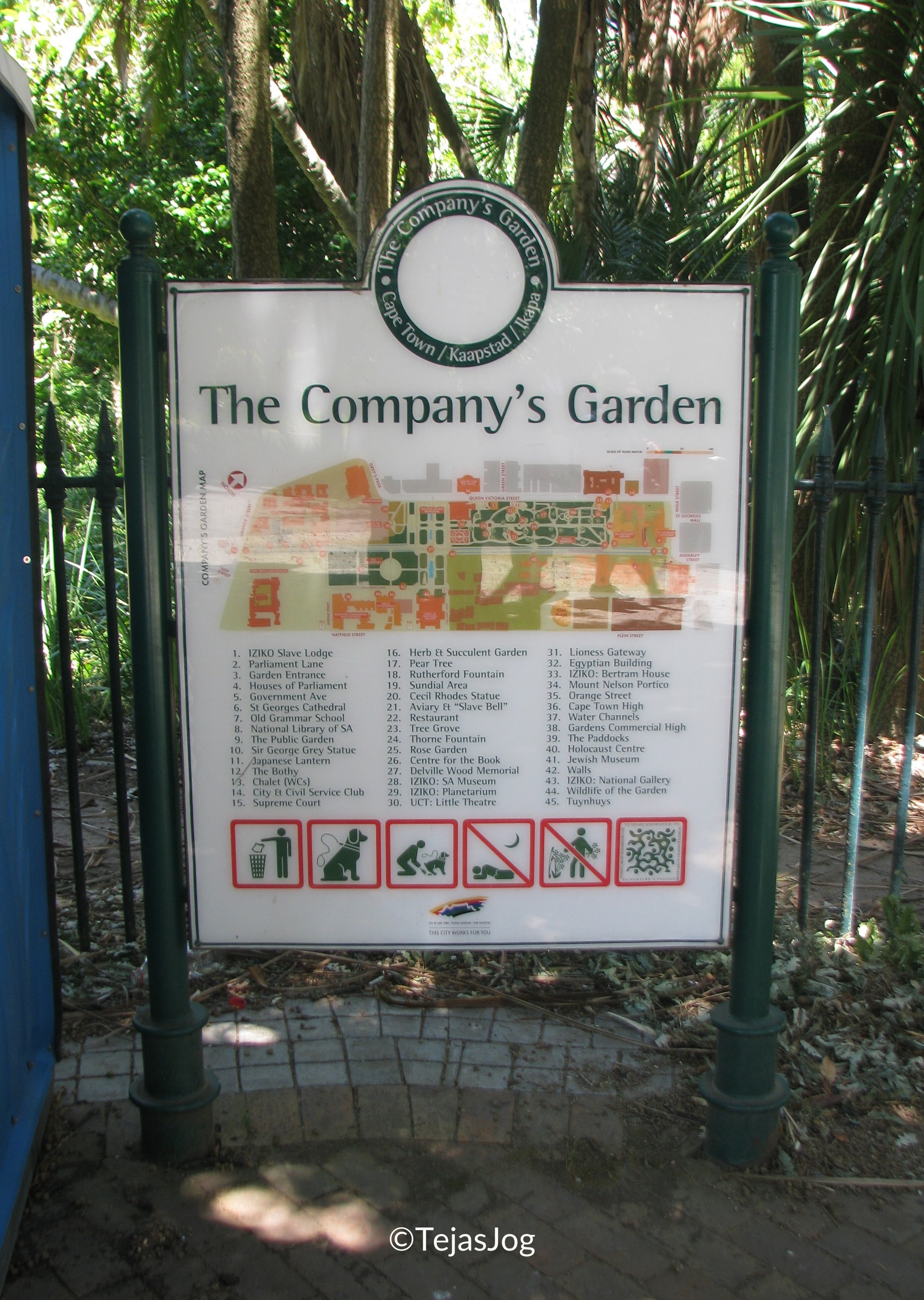 Tree-lined paths in The Company’s Garden