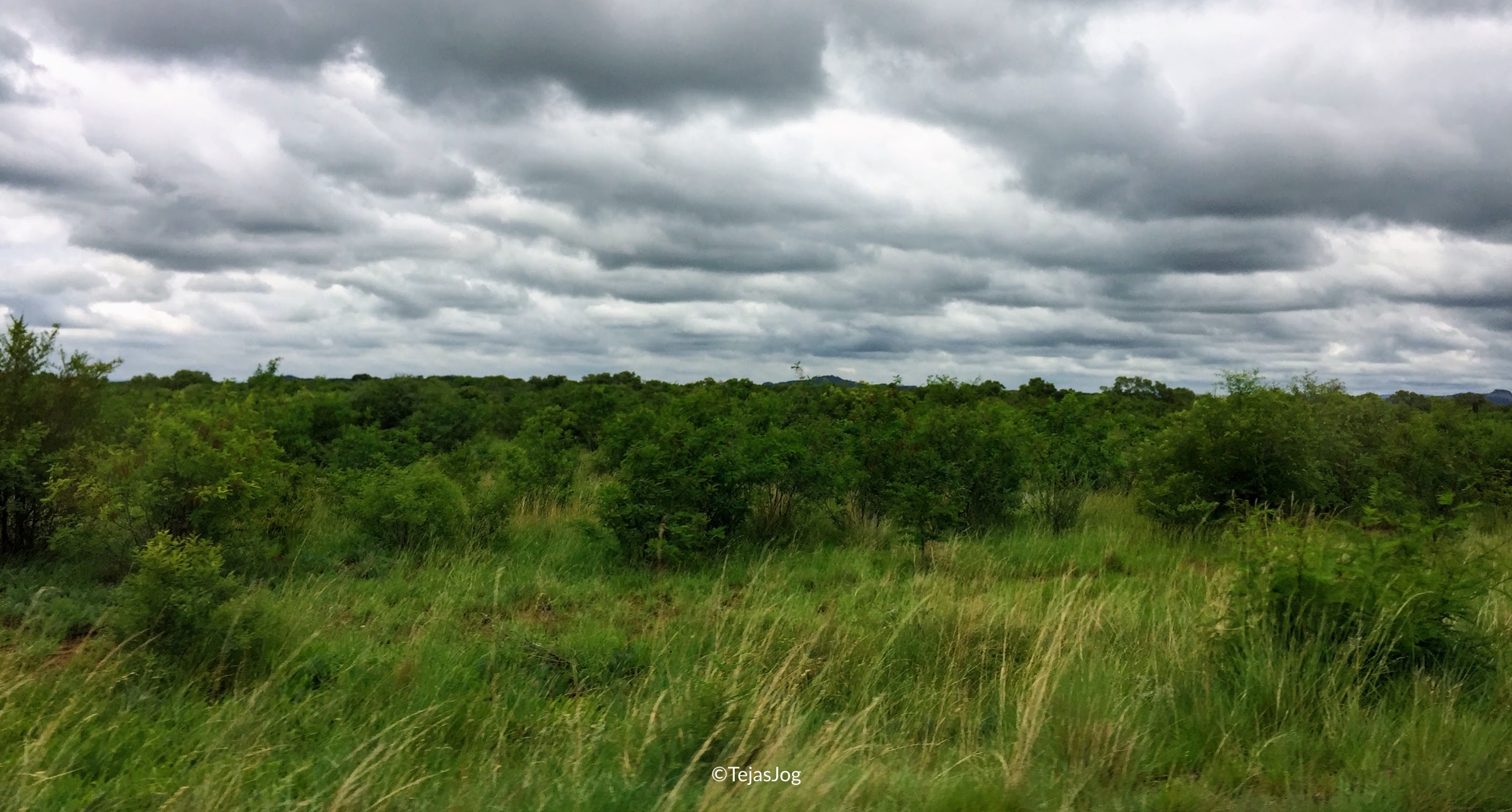 On the way to Pilanesberg