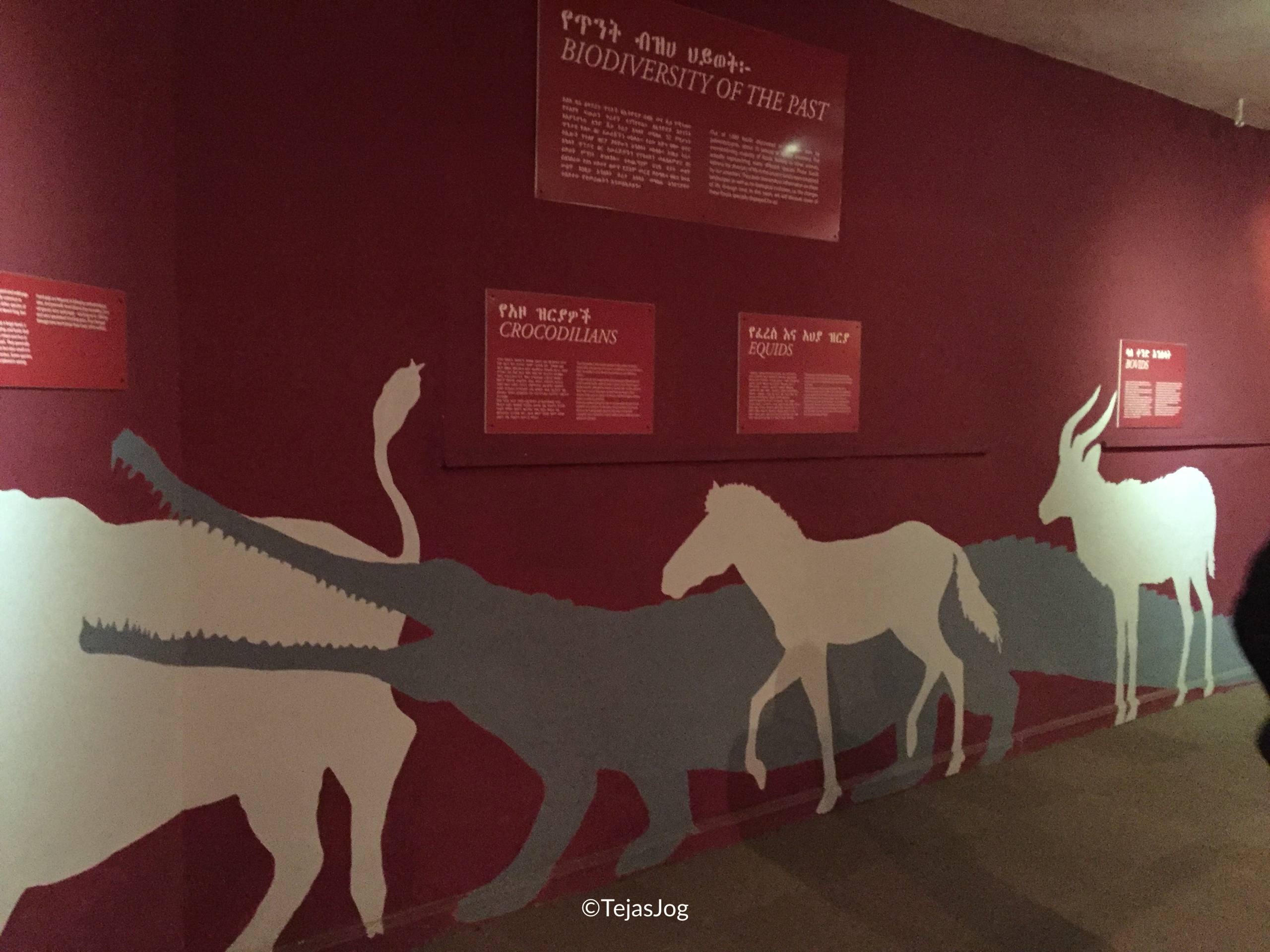 The National Museum of Ethiopia