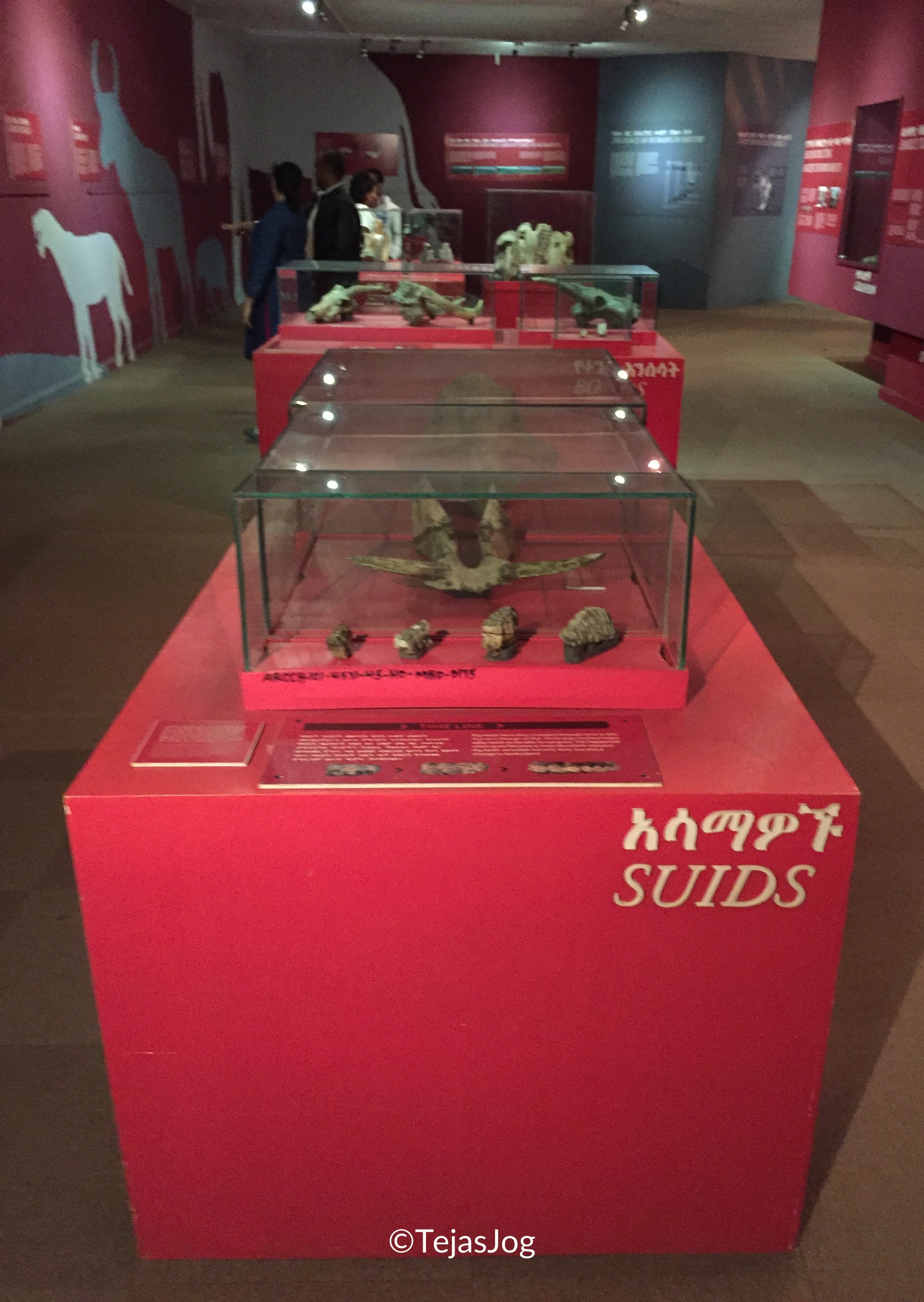 The National Museum of Ethiopia