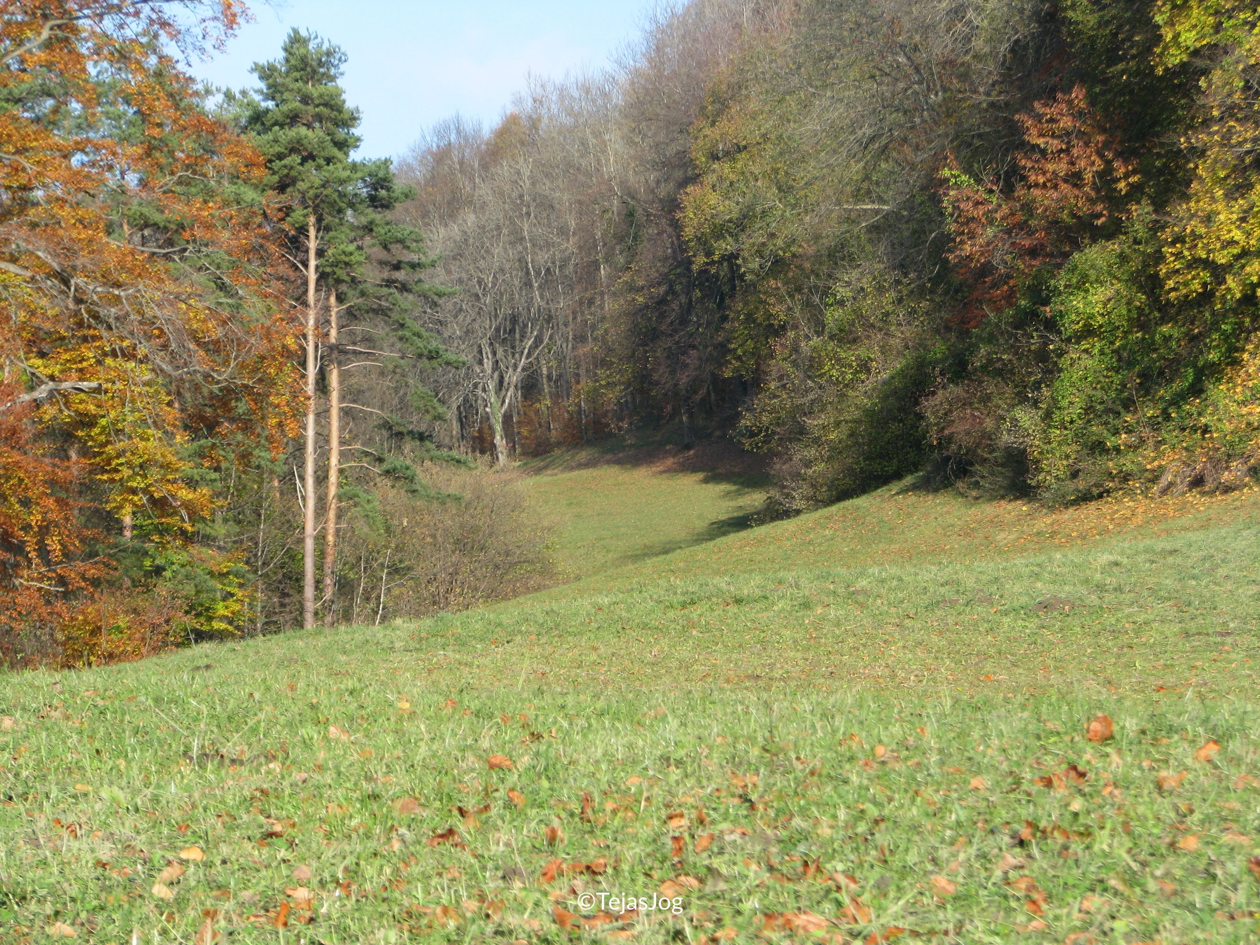 Climb to Vaduz Castle