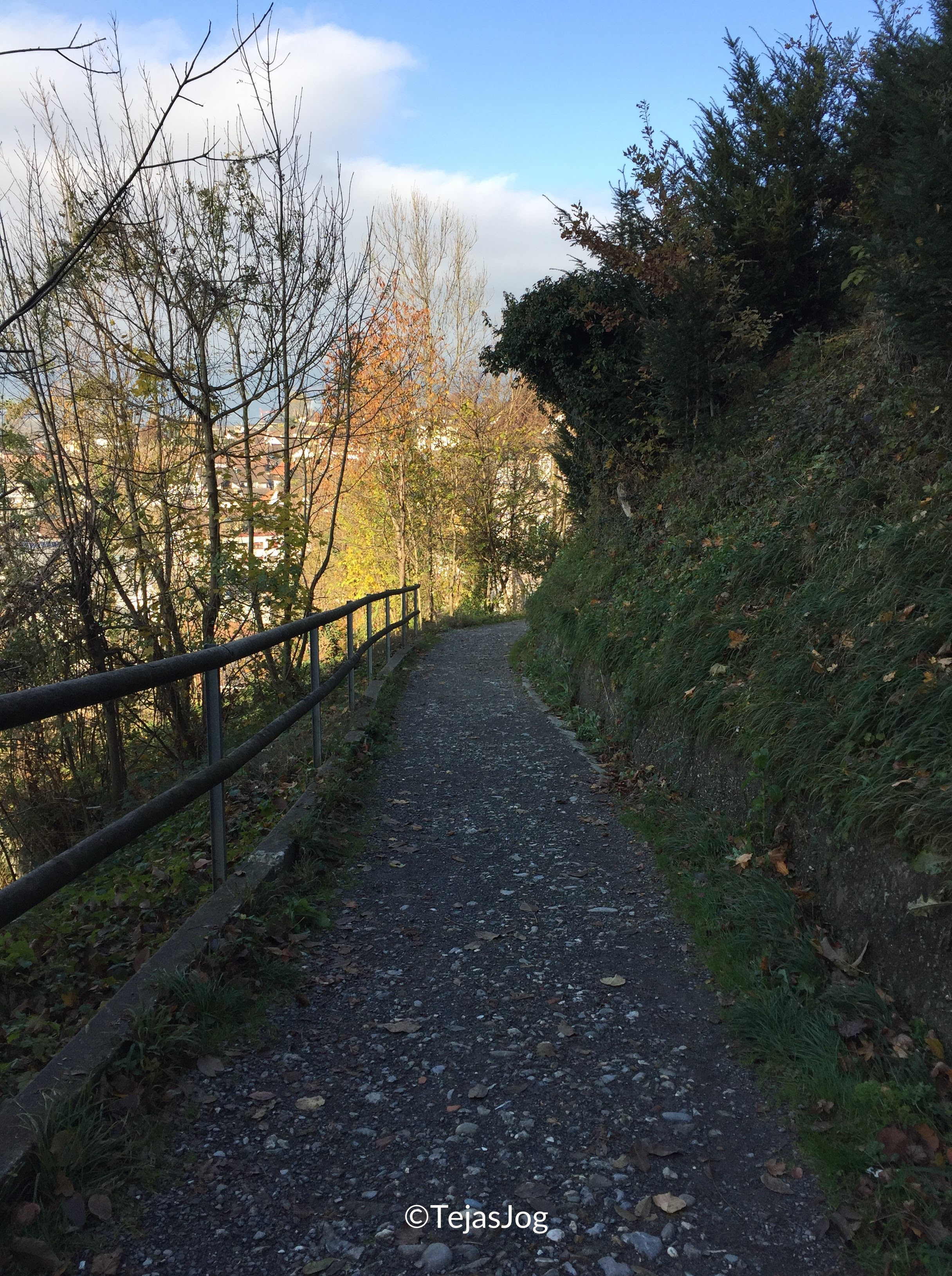 Climb to Vaduz Castle