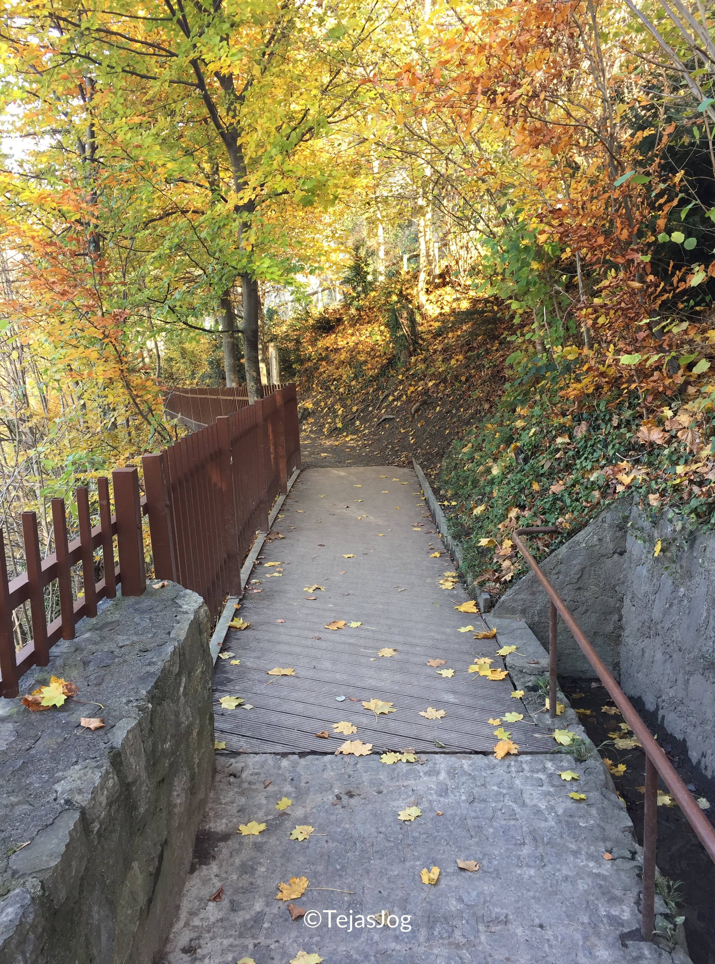 Climb to Vaduz Castle