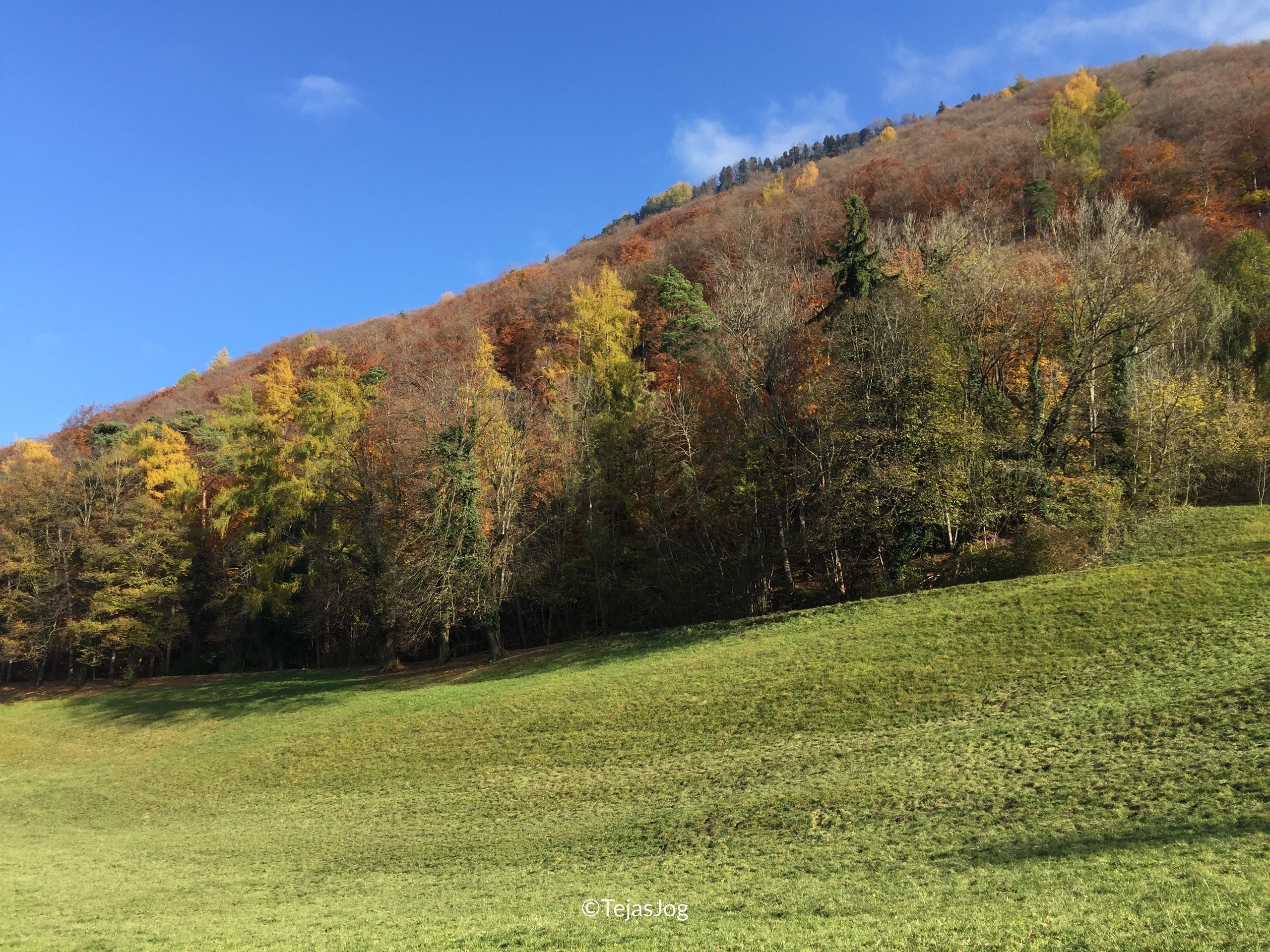 Climb to Vaduz Castle