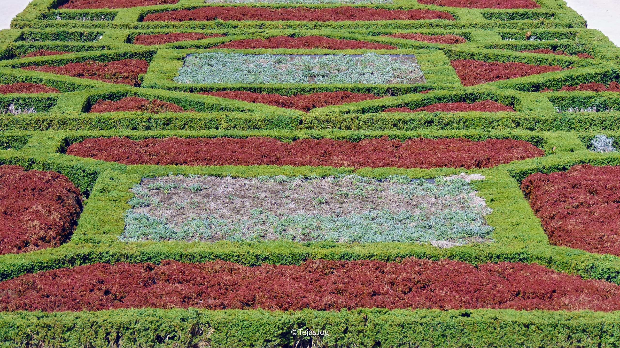 Tuin van de Kunstberg