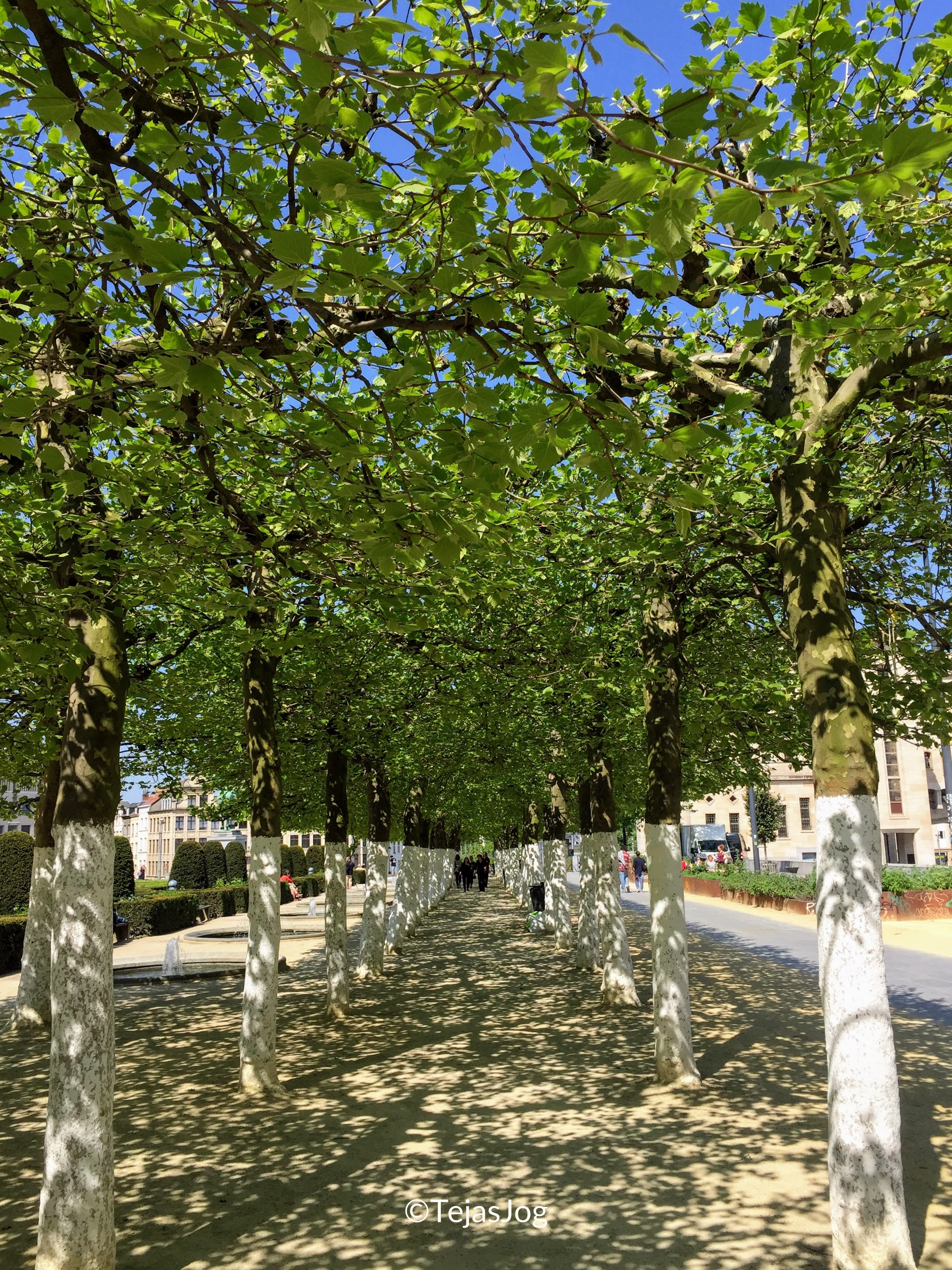 BrusRue Sainte-Gudulesels