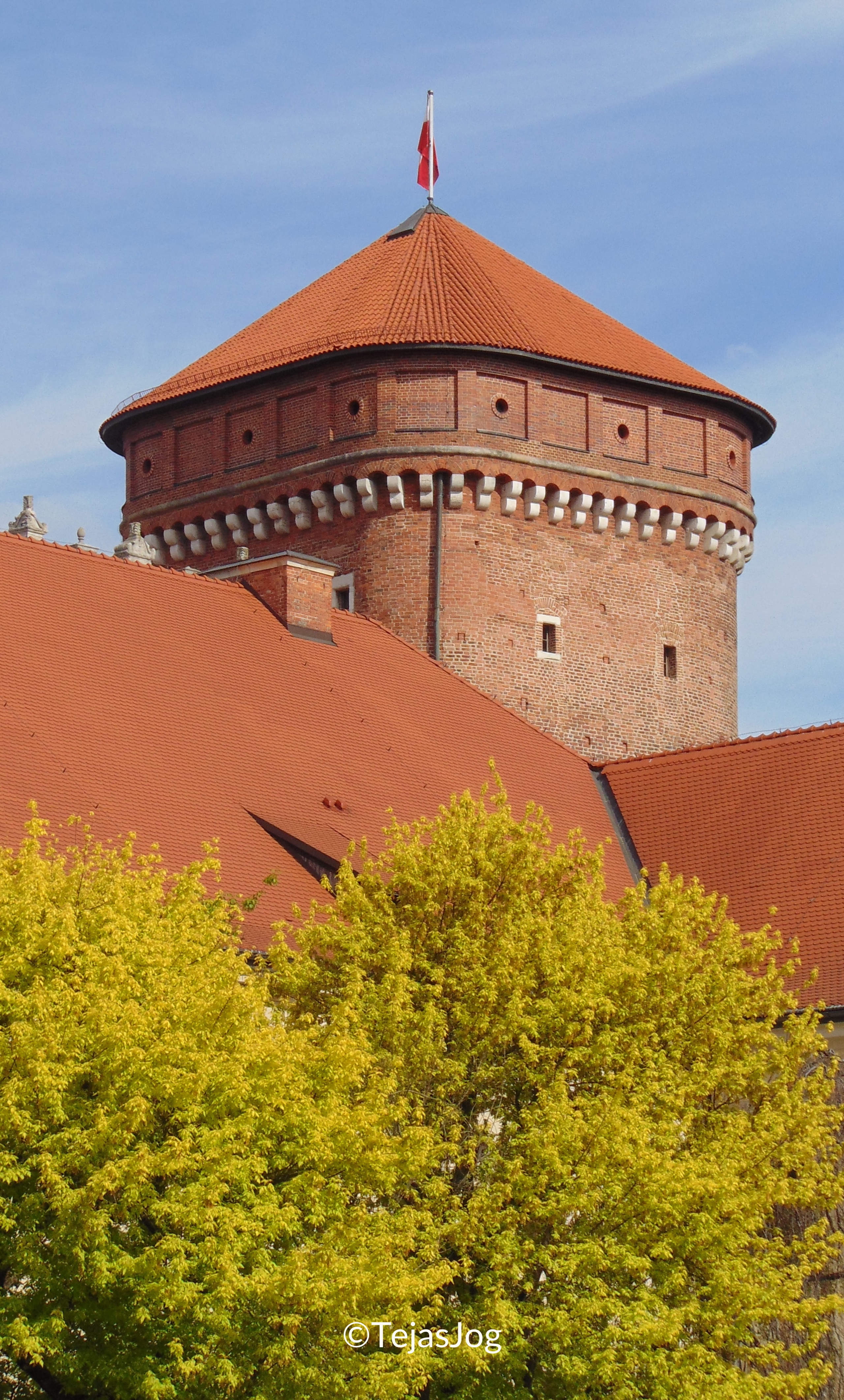 Wawel Royal Castle