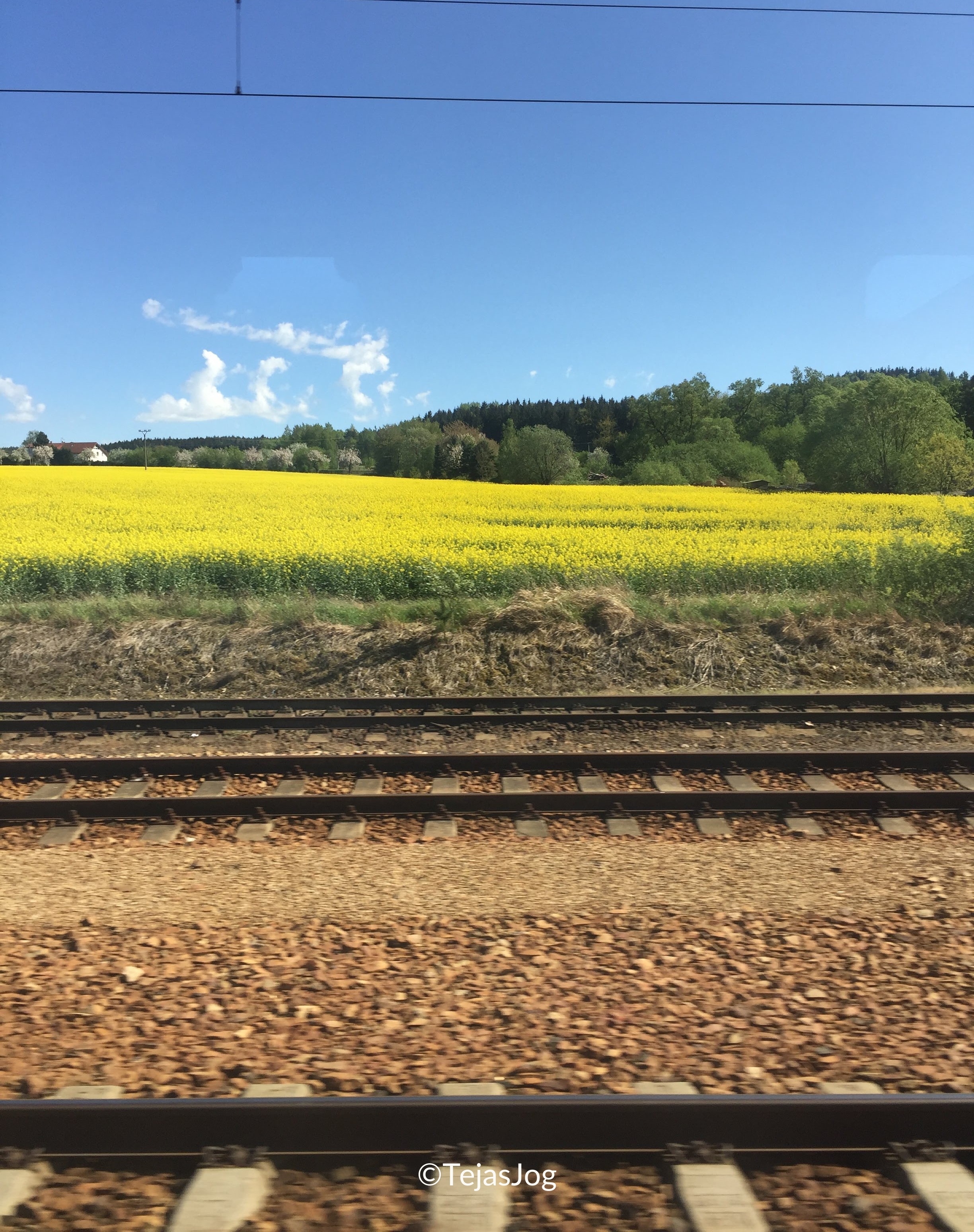 Czech Interjet train Ex 556