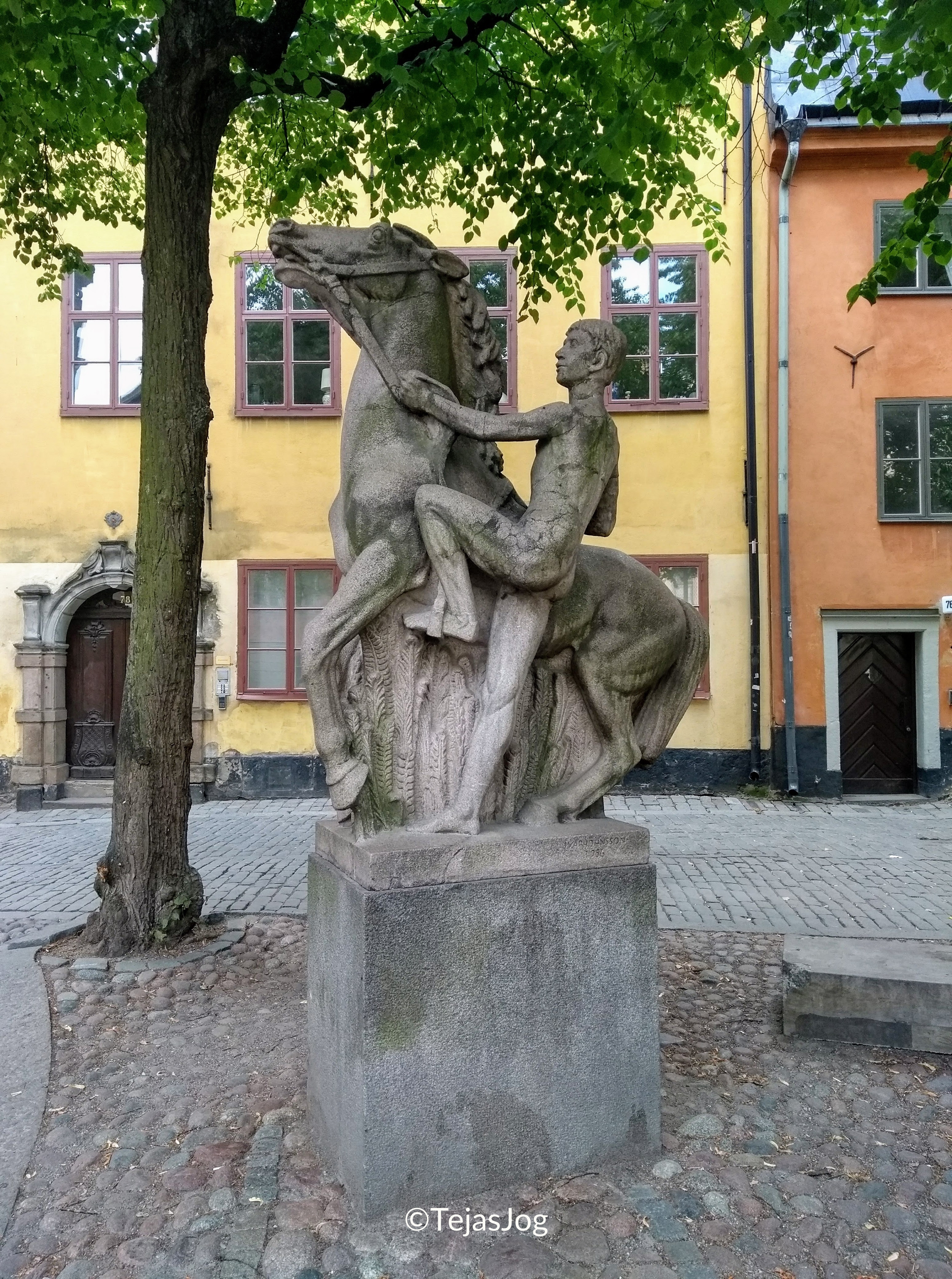 Yngling bestiger häst