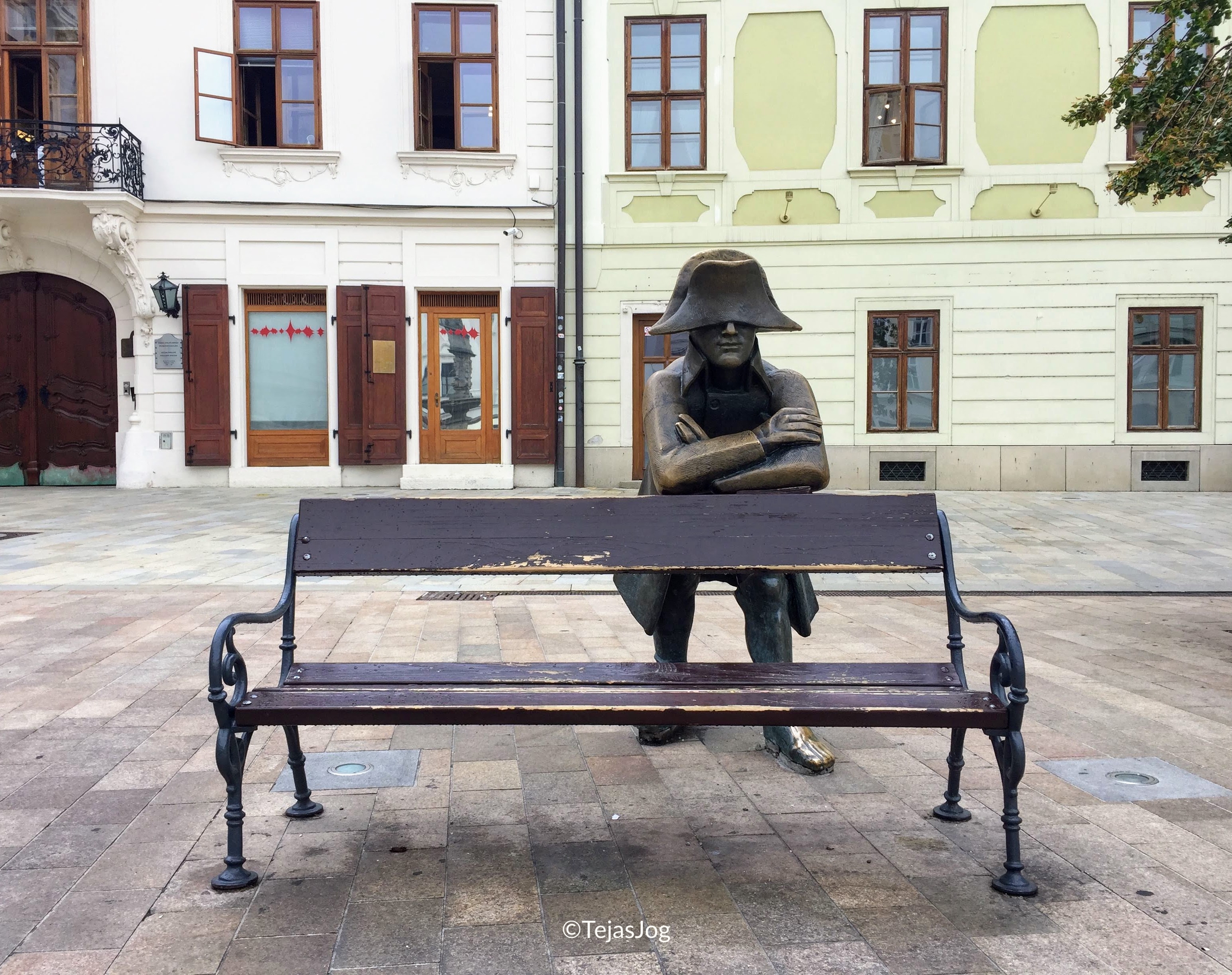 Napoleon's Army Soldier