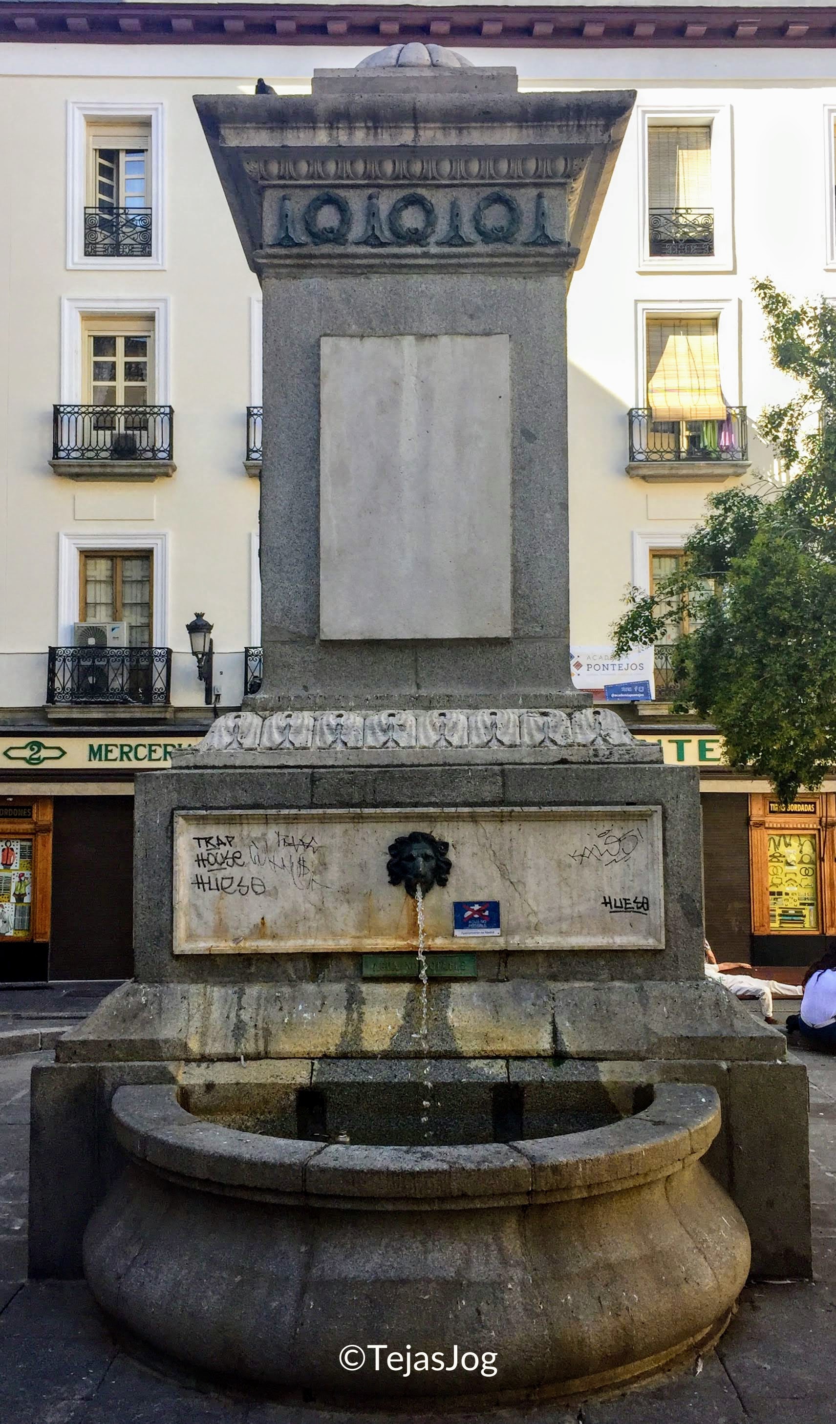 Fuente de la Plaza Pontejos