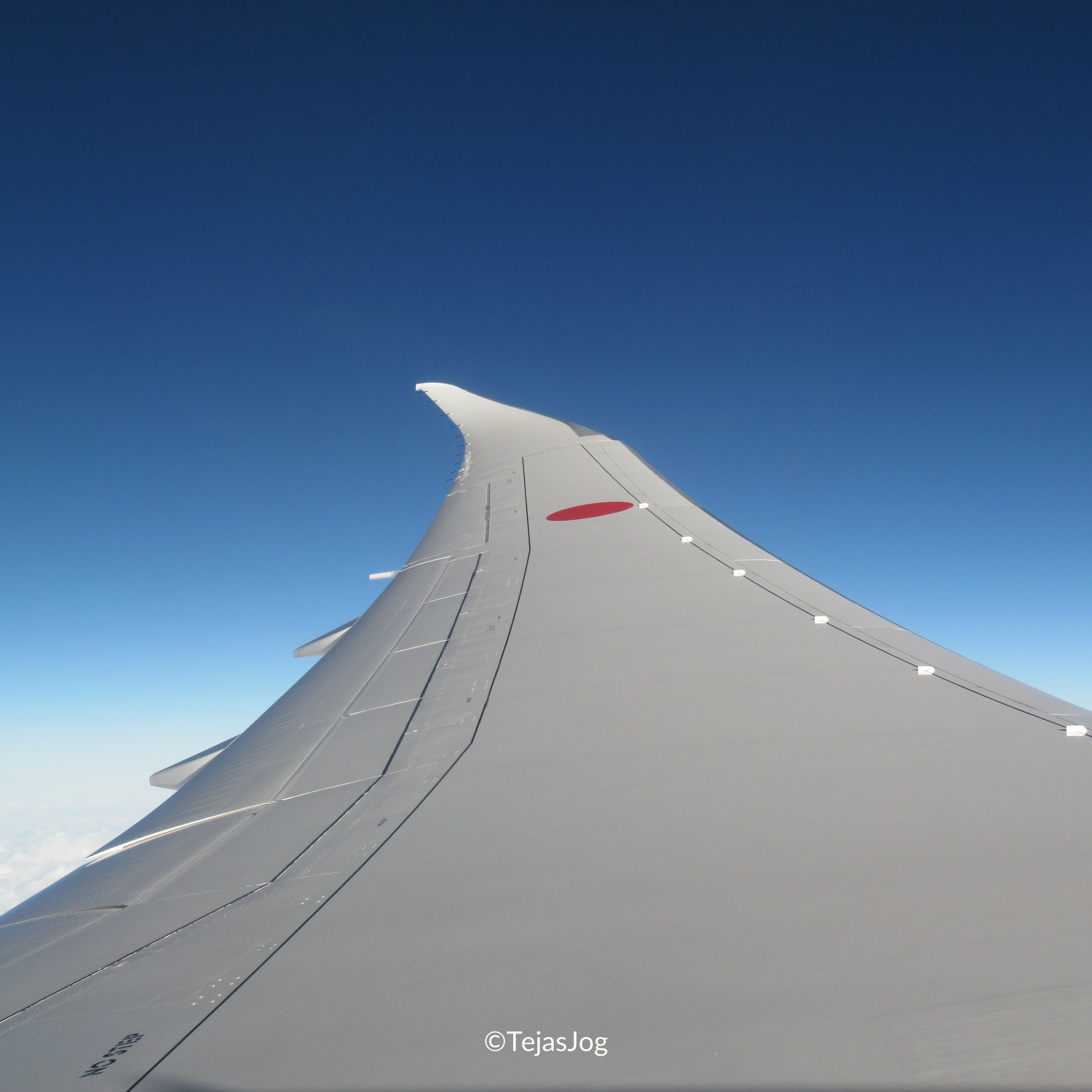 All Nippon Airways 830