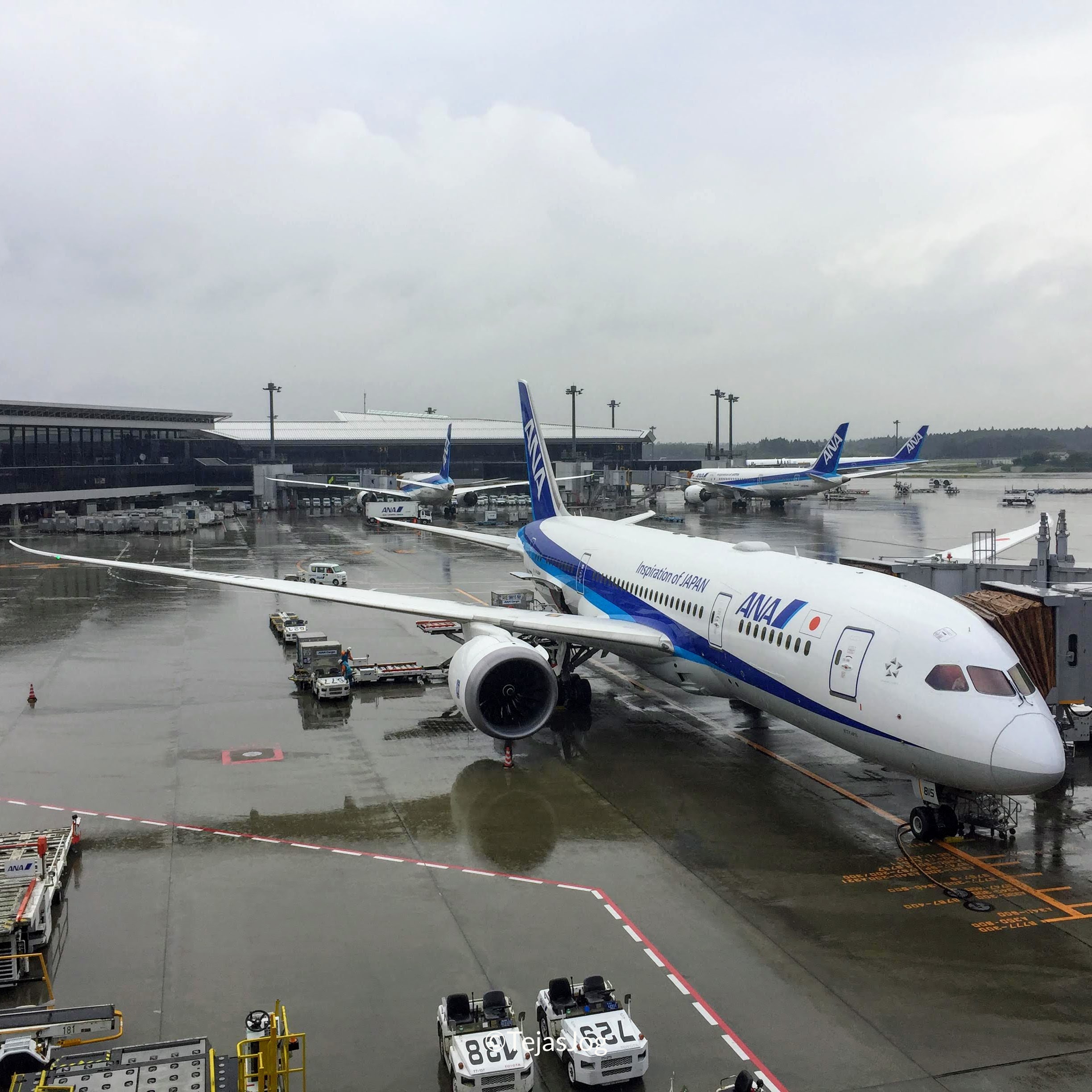 Tokyo Narita Airport