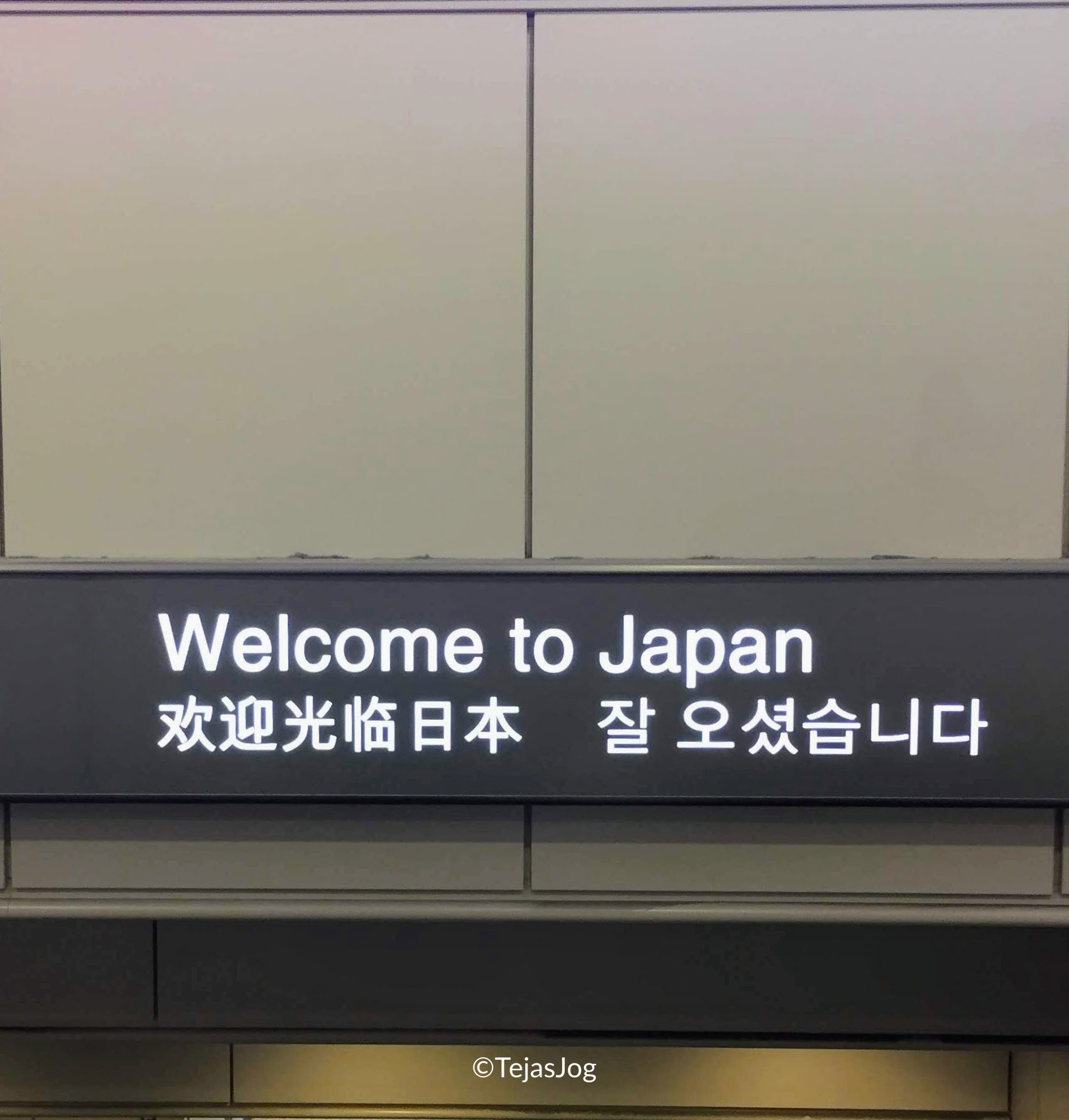 Tokyo Narita Airport