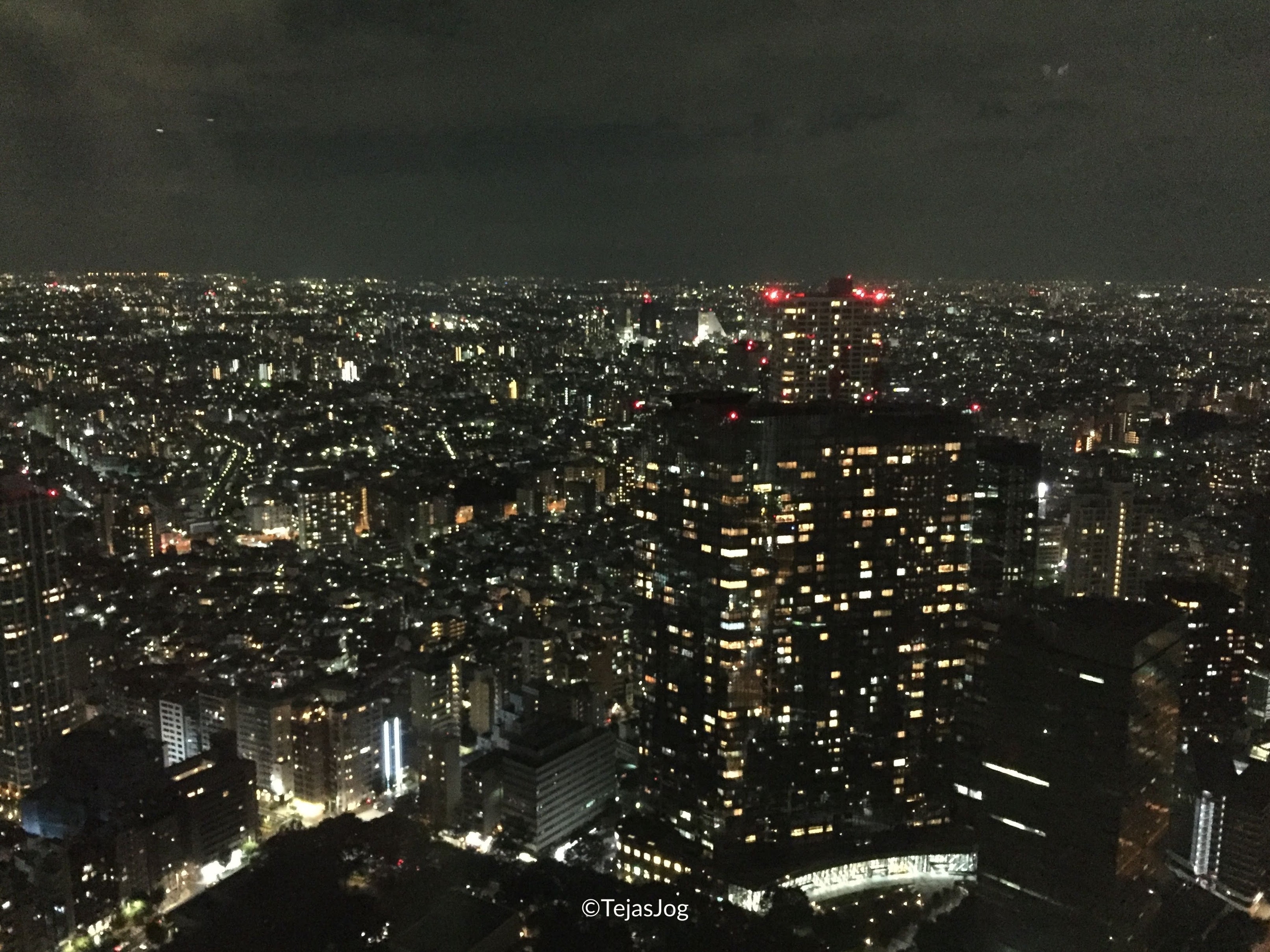 View from Tokyo Metropolitan Government Building North Observation Deck