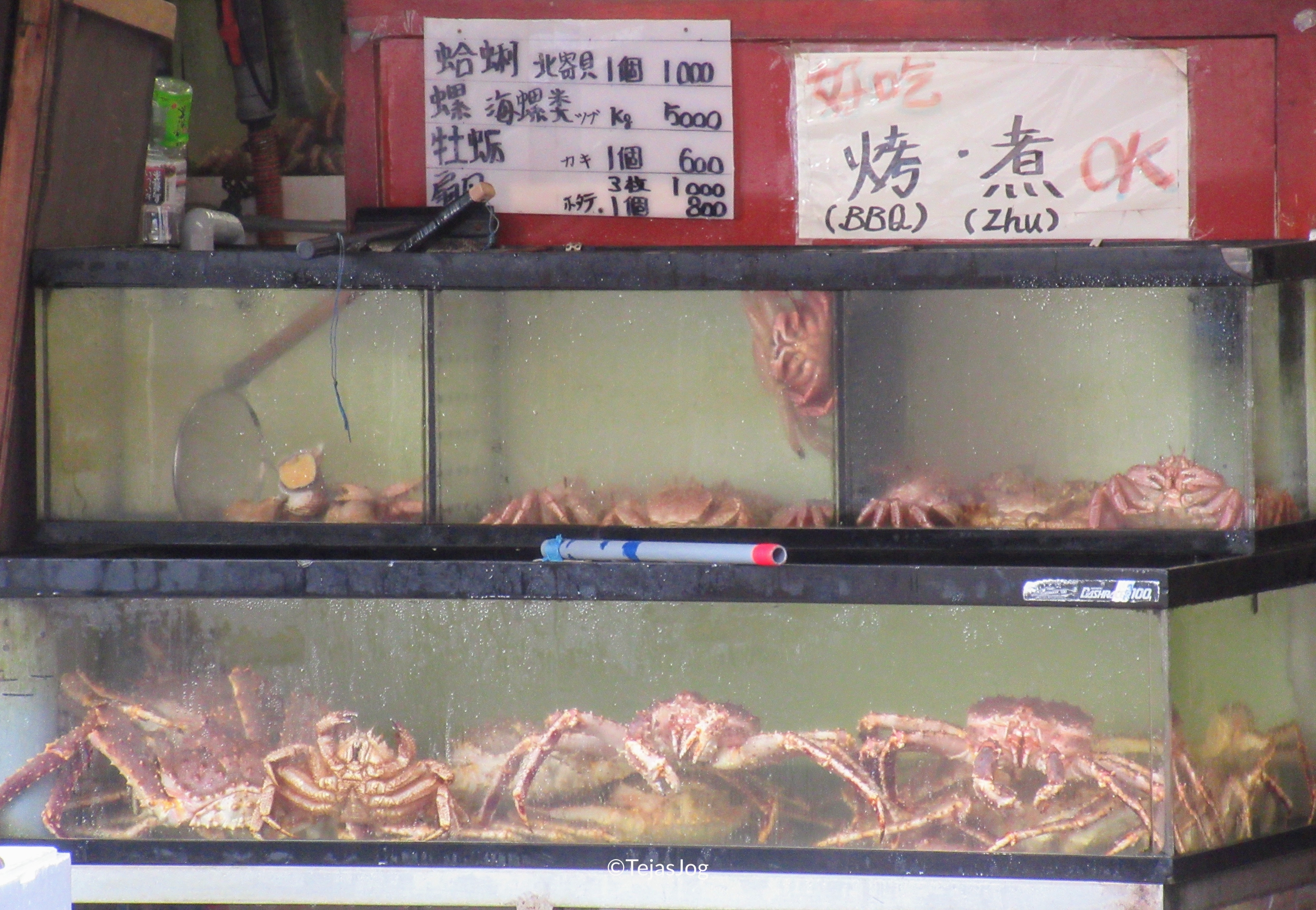 Hakodate Morning Market