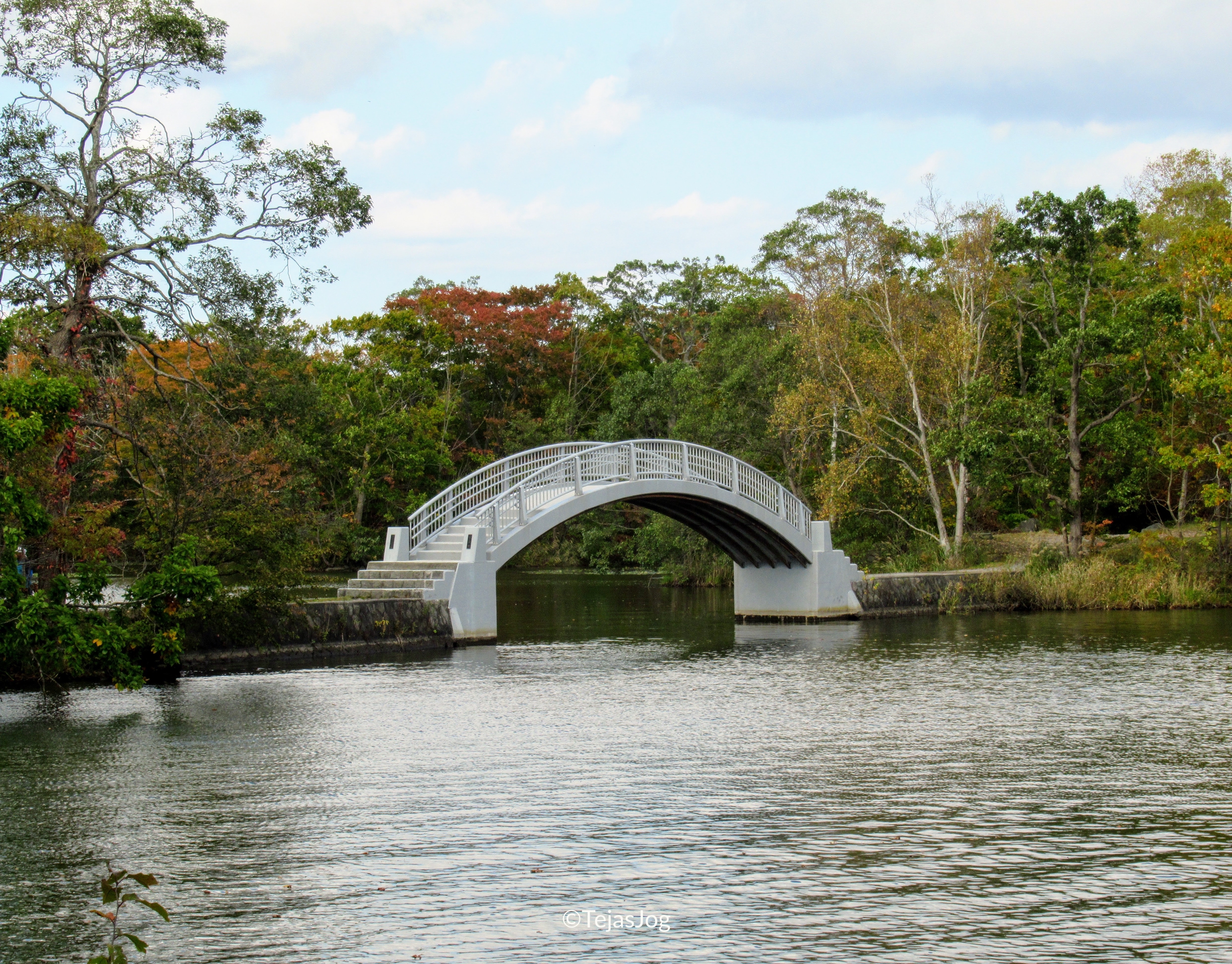 Onuma Quasi-National Park