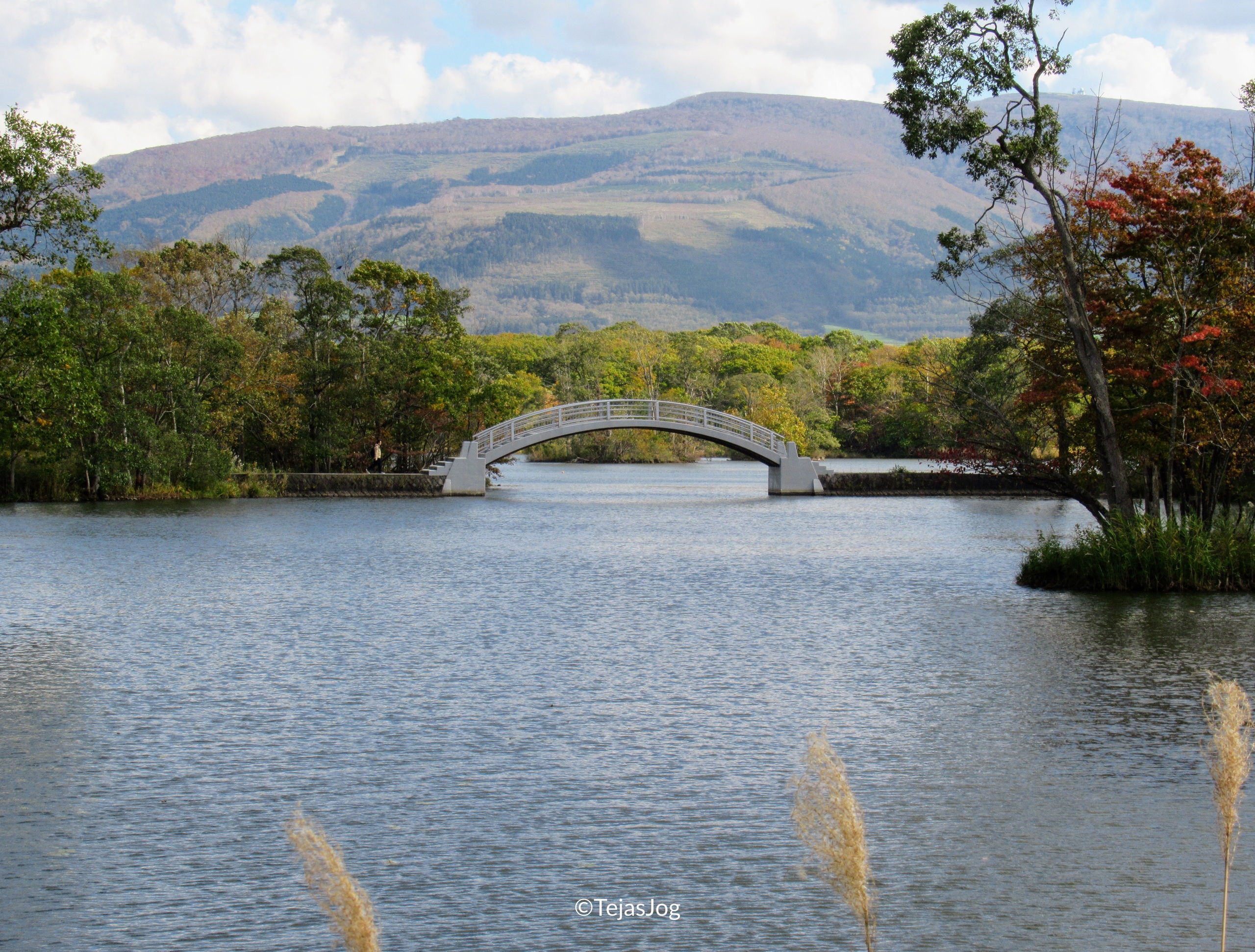 Onuma Quasi-National Park