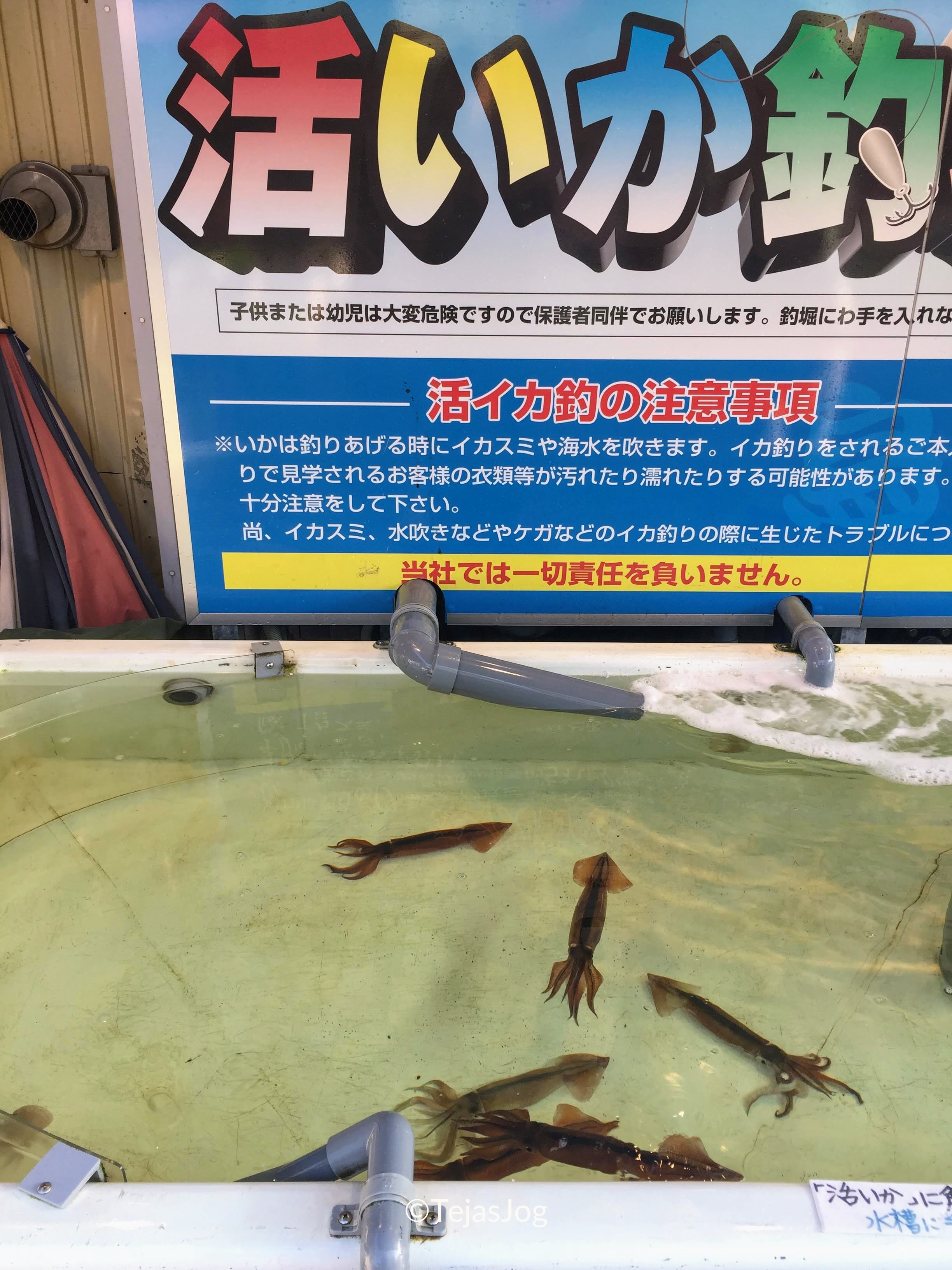 Hakodate Morning Market