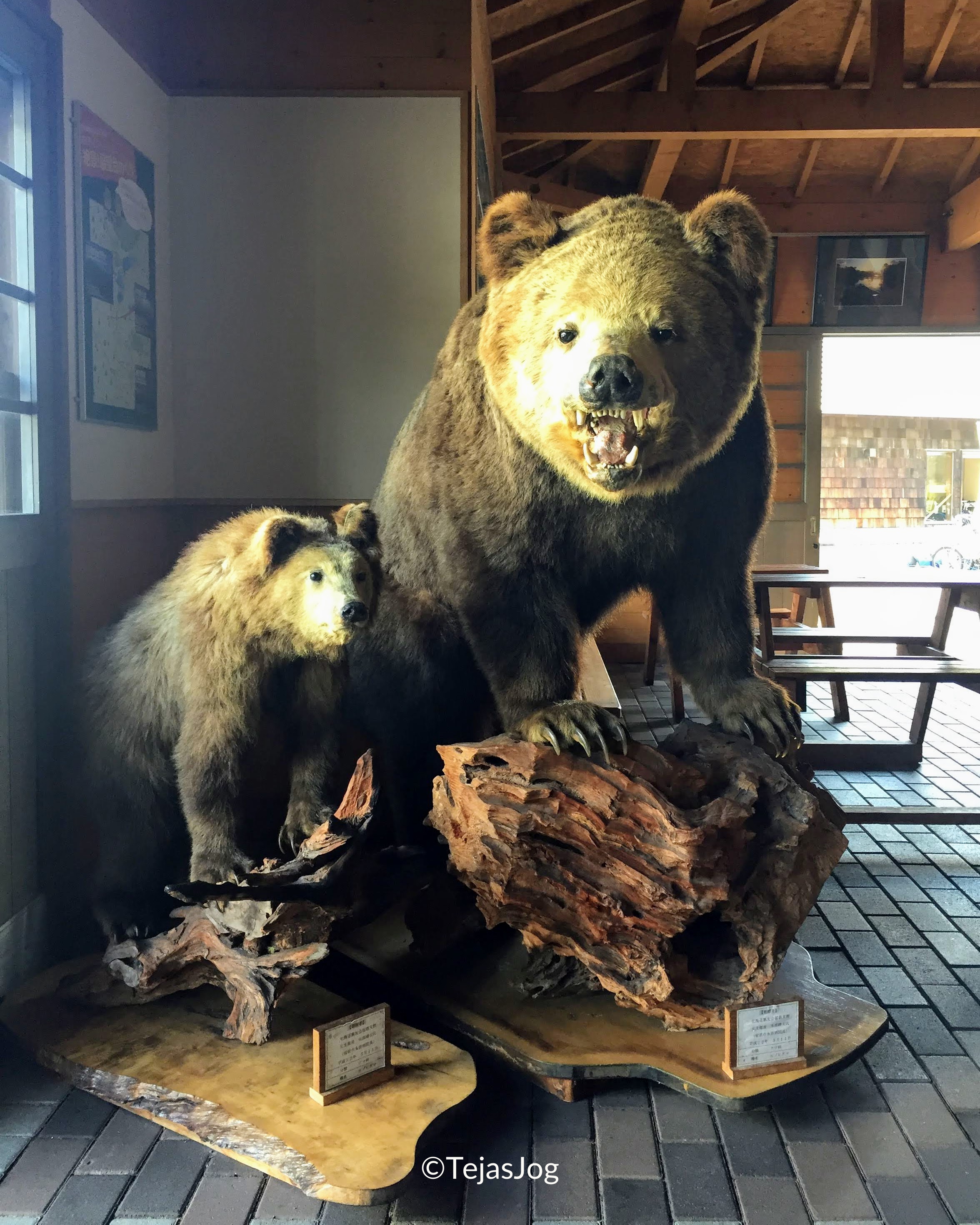 Onuma Quasi-National Park