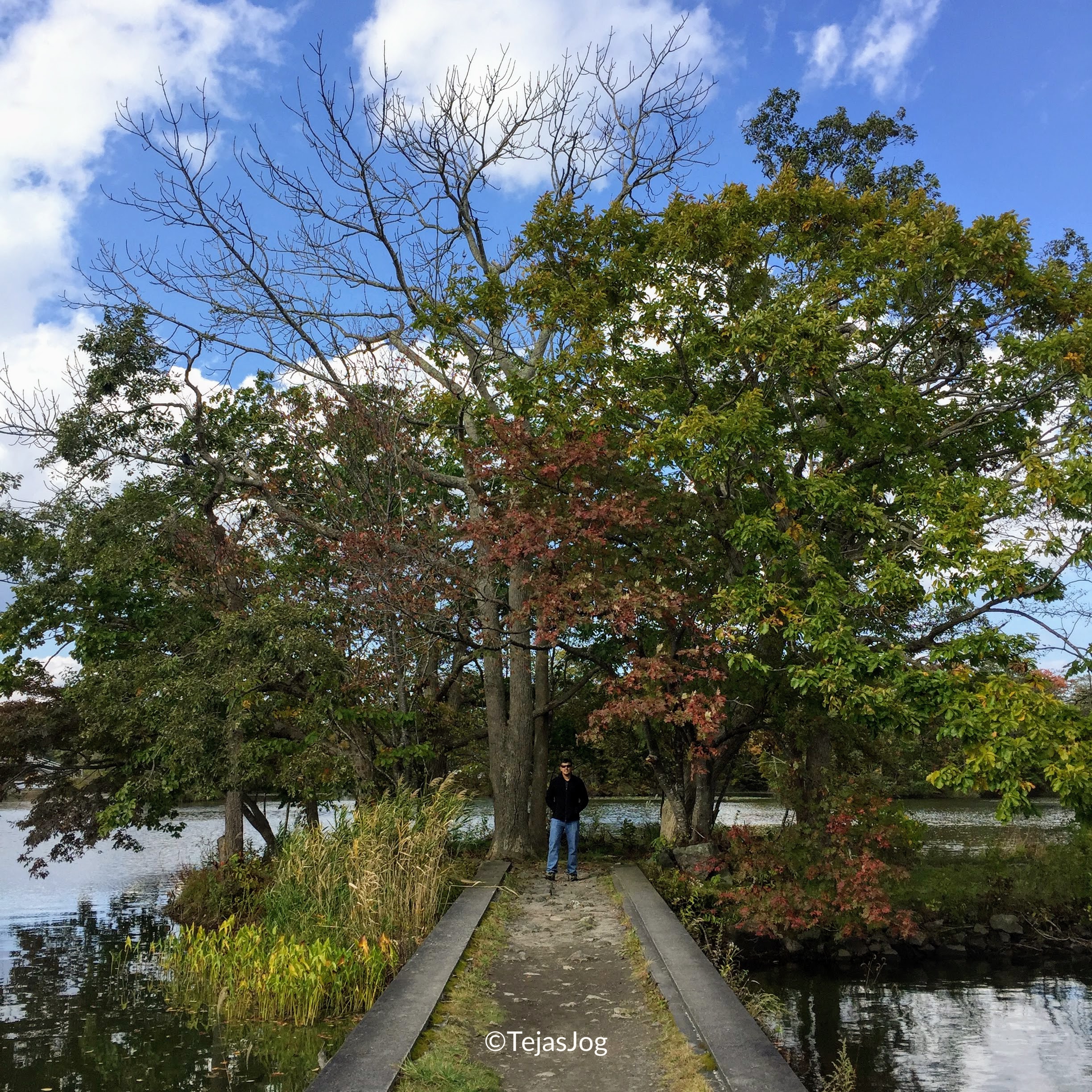 Onuma Quasi-National Park