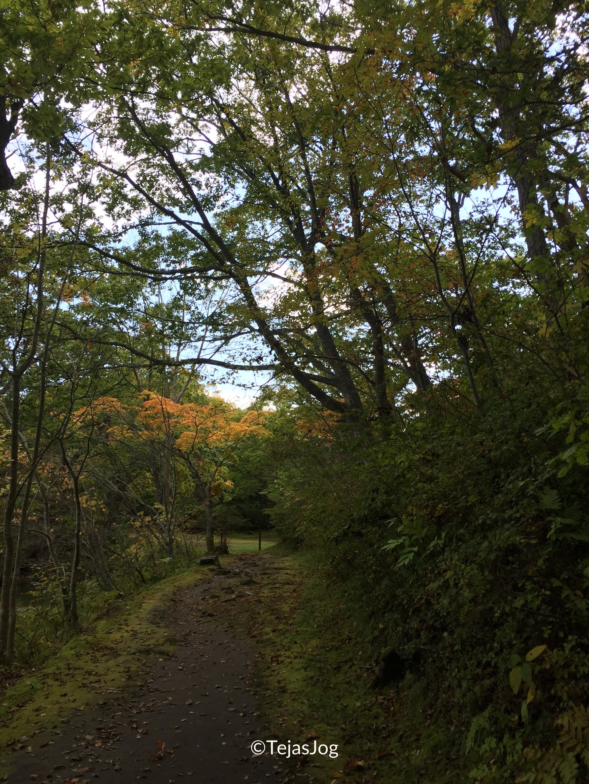 Onuma Quasi-National Park