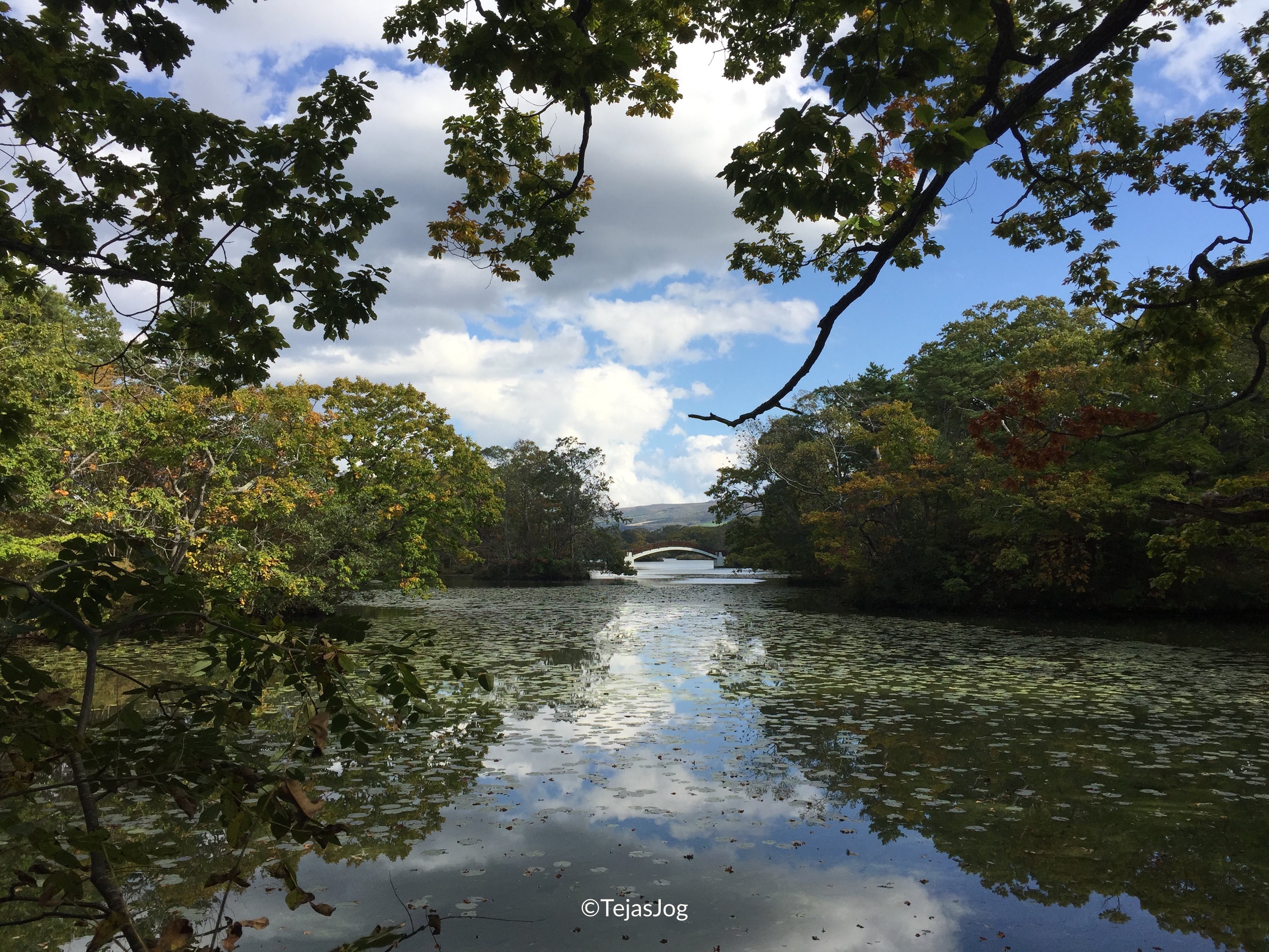 Onuma Quasi-National Park