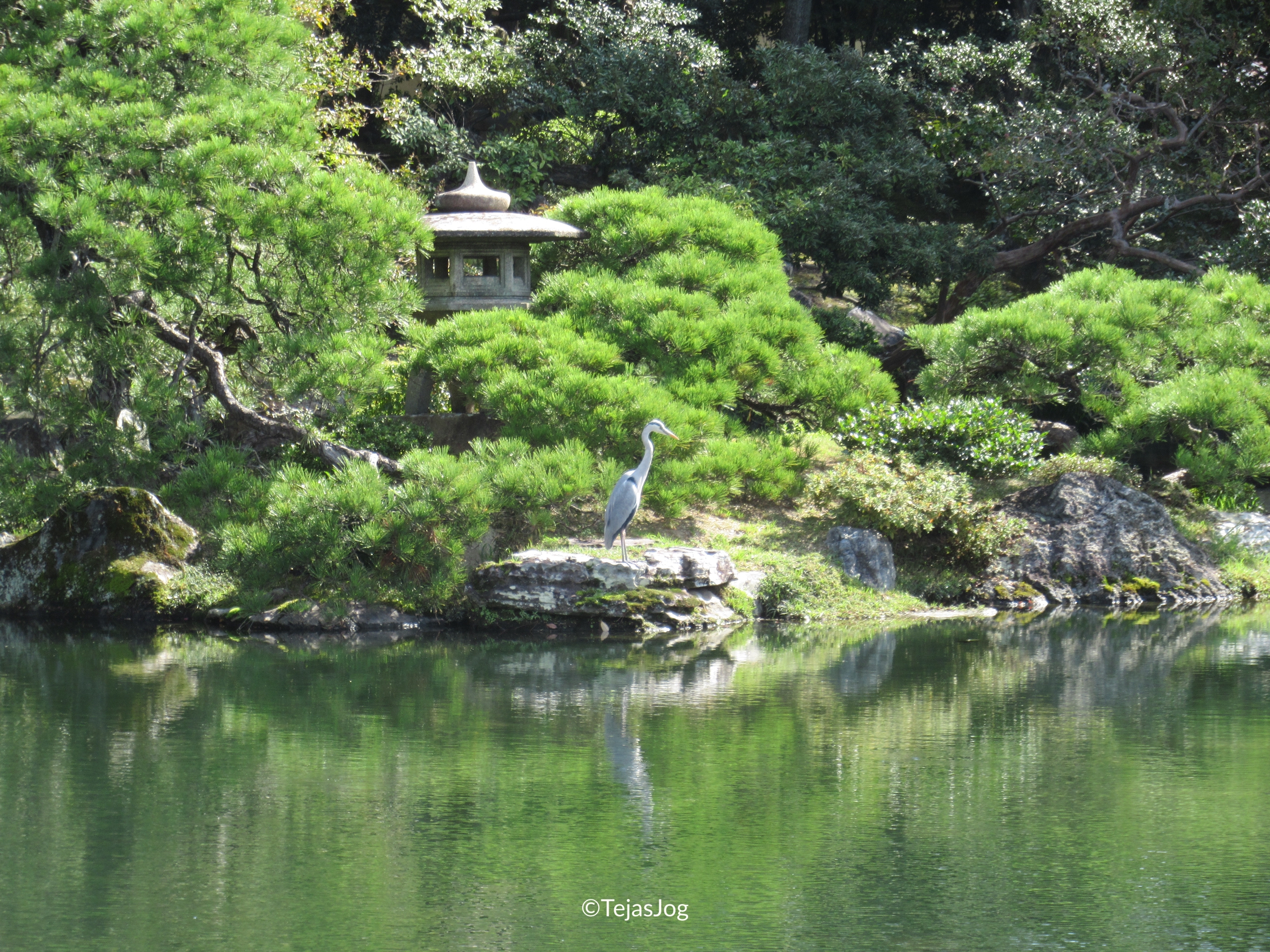 Oike-niwa (Pond Garden)