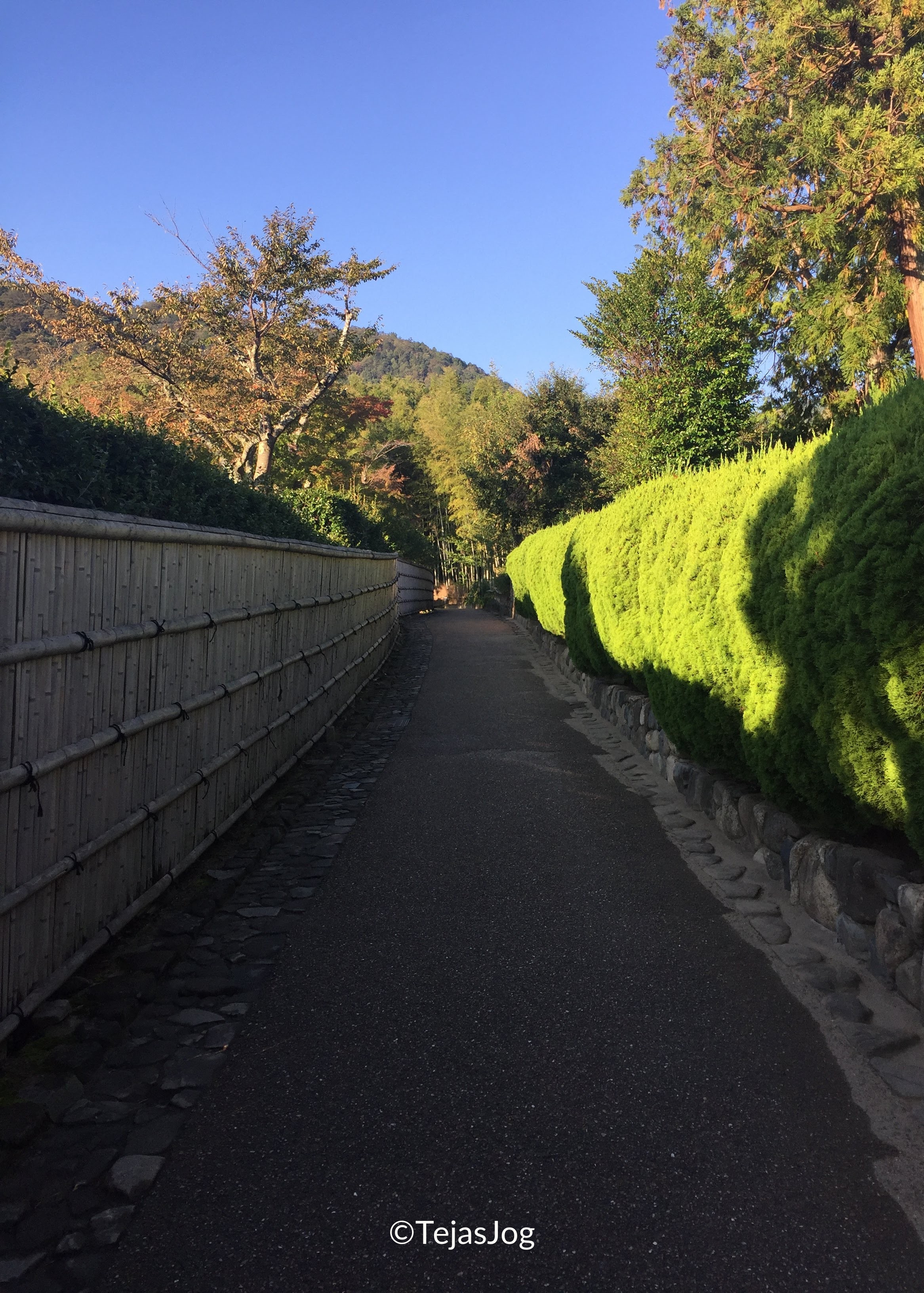 Arashiyama