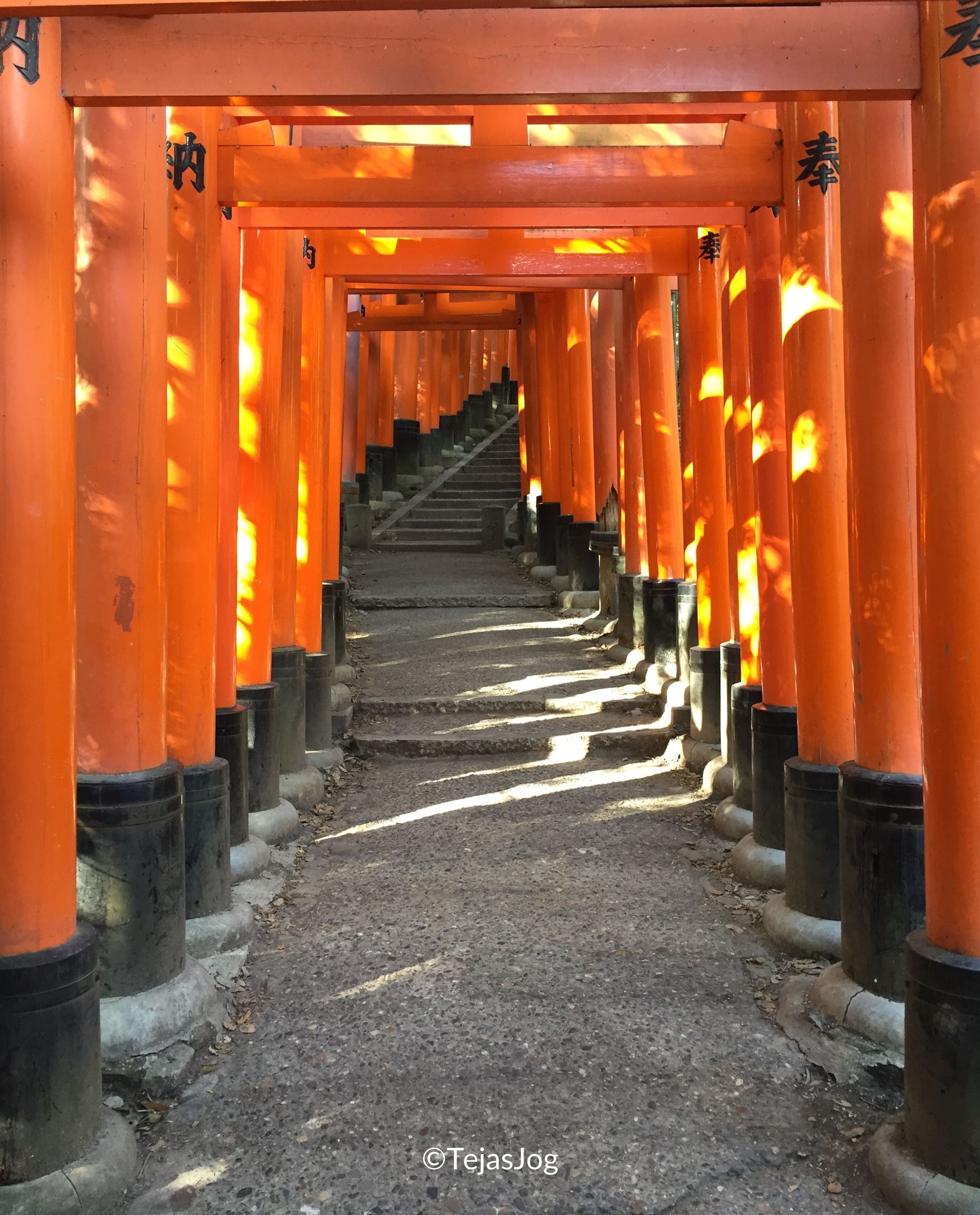 Senbon Torii