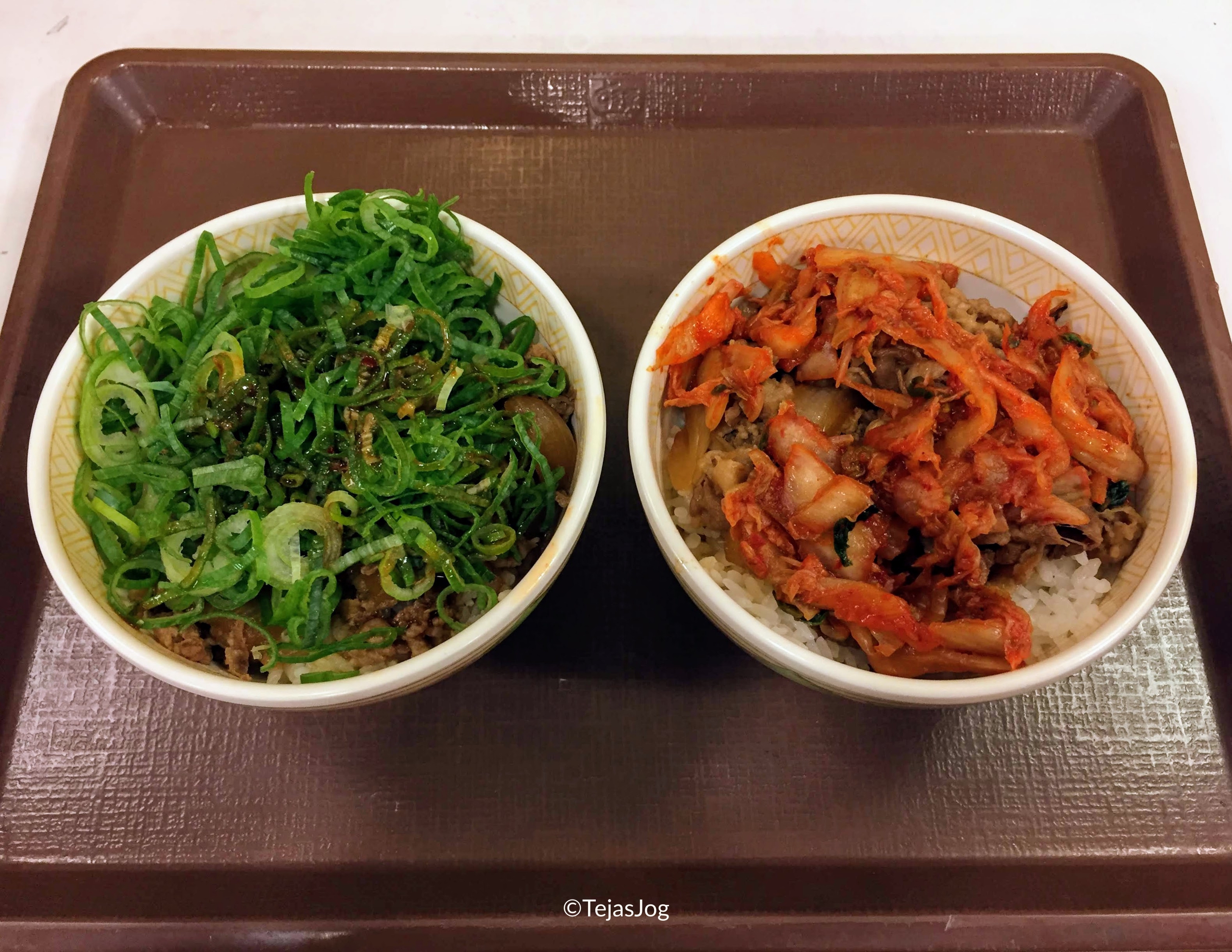 Dinner at Sukiya Kagoshima Tenmonkan Restaurant