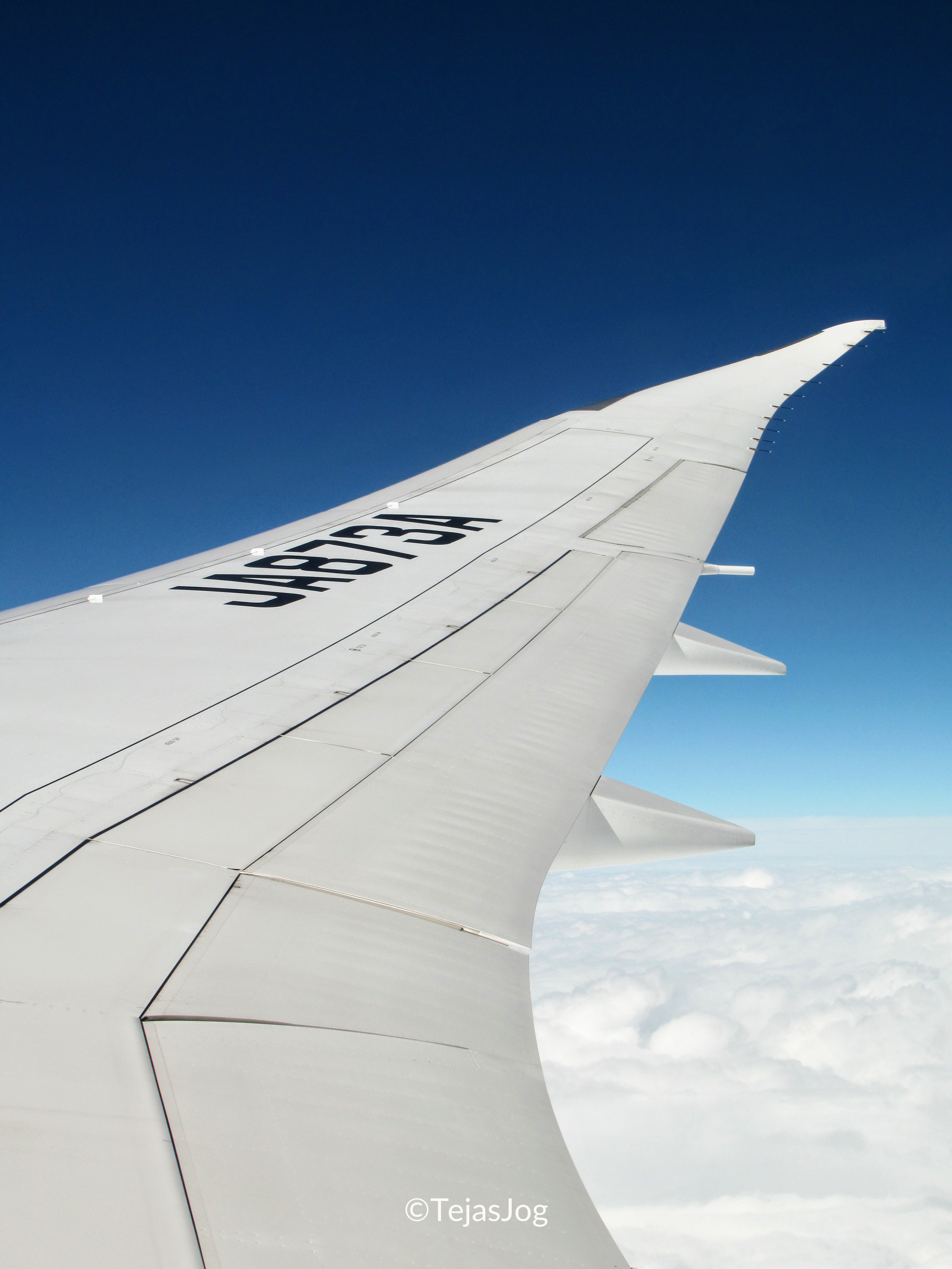 All Nippon Airways 829