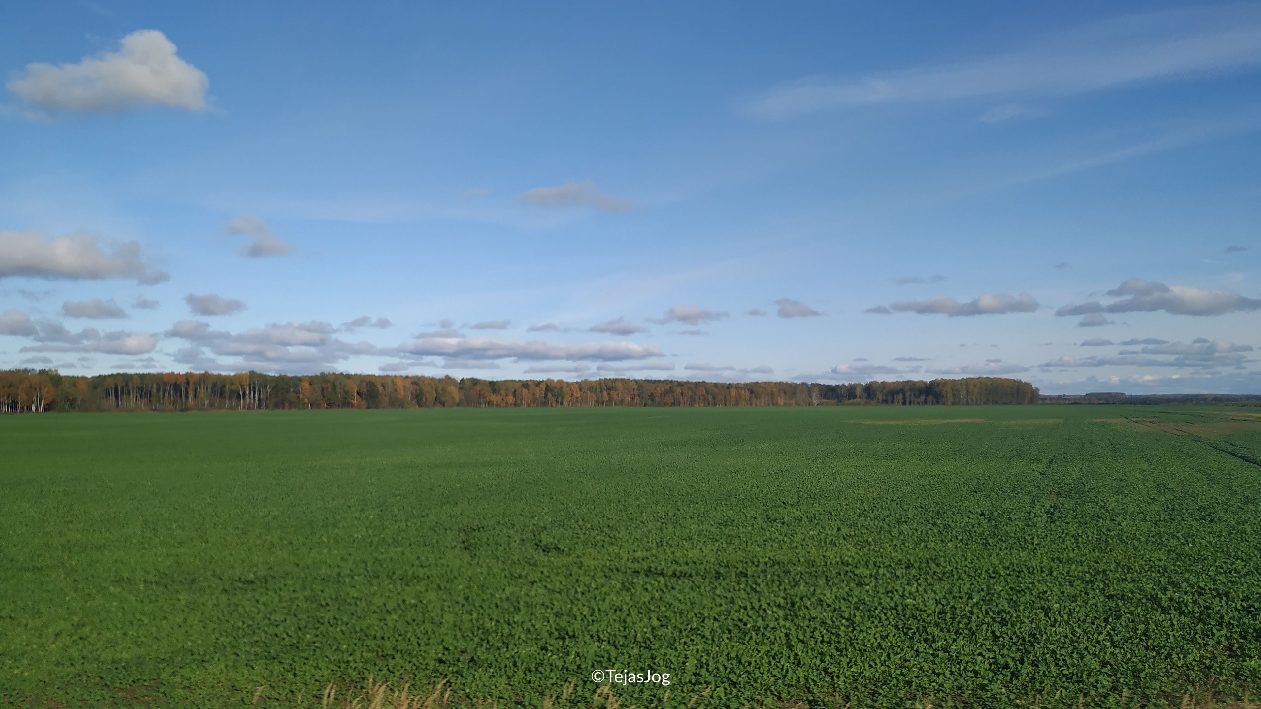 LUXExpress from Vilnius to Riga