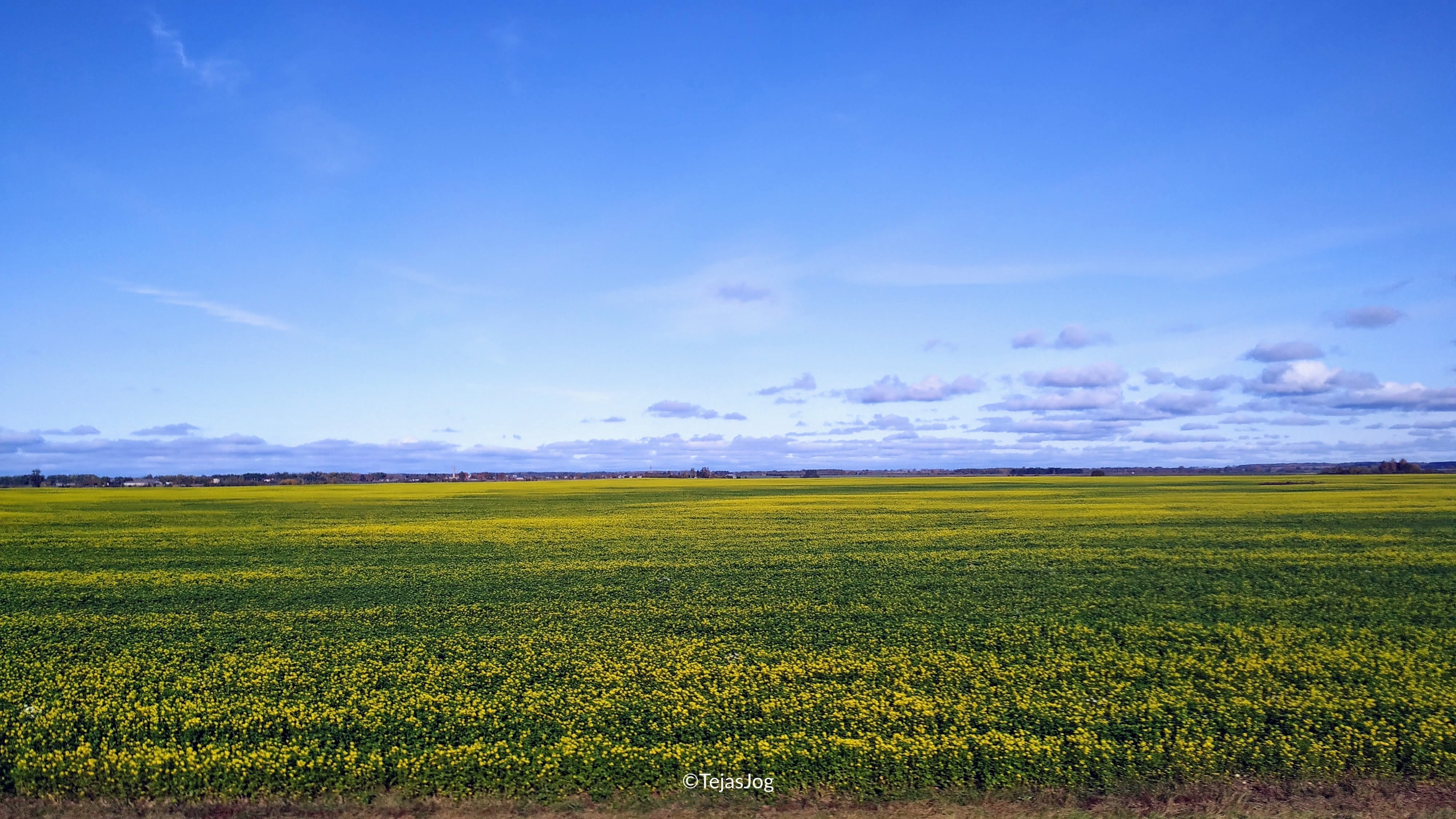 LUXExpress from Vilnius to Riga