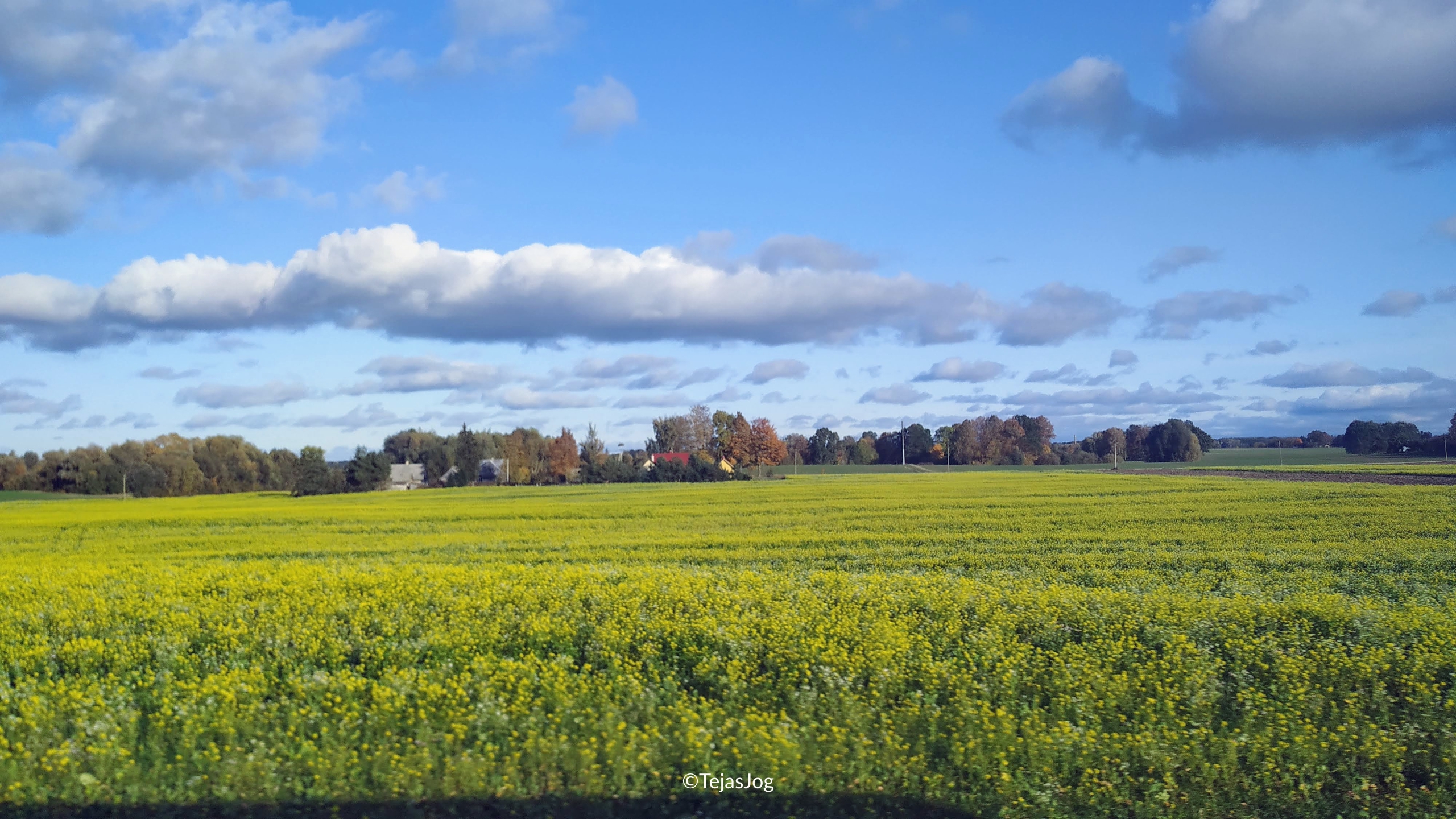 LUXExpress from Vilnius to Riga