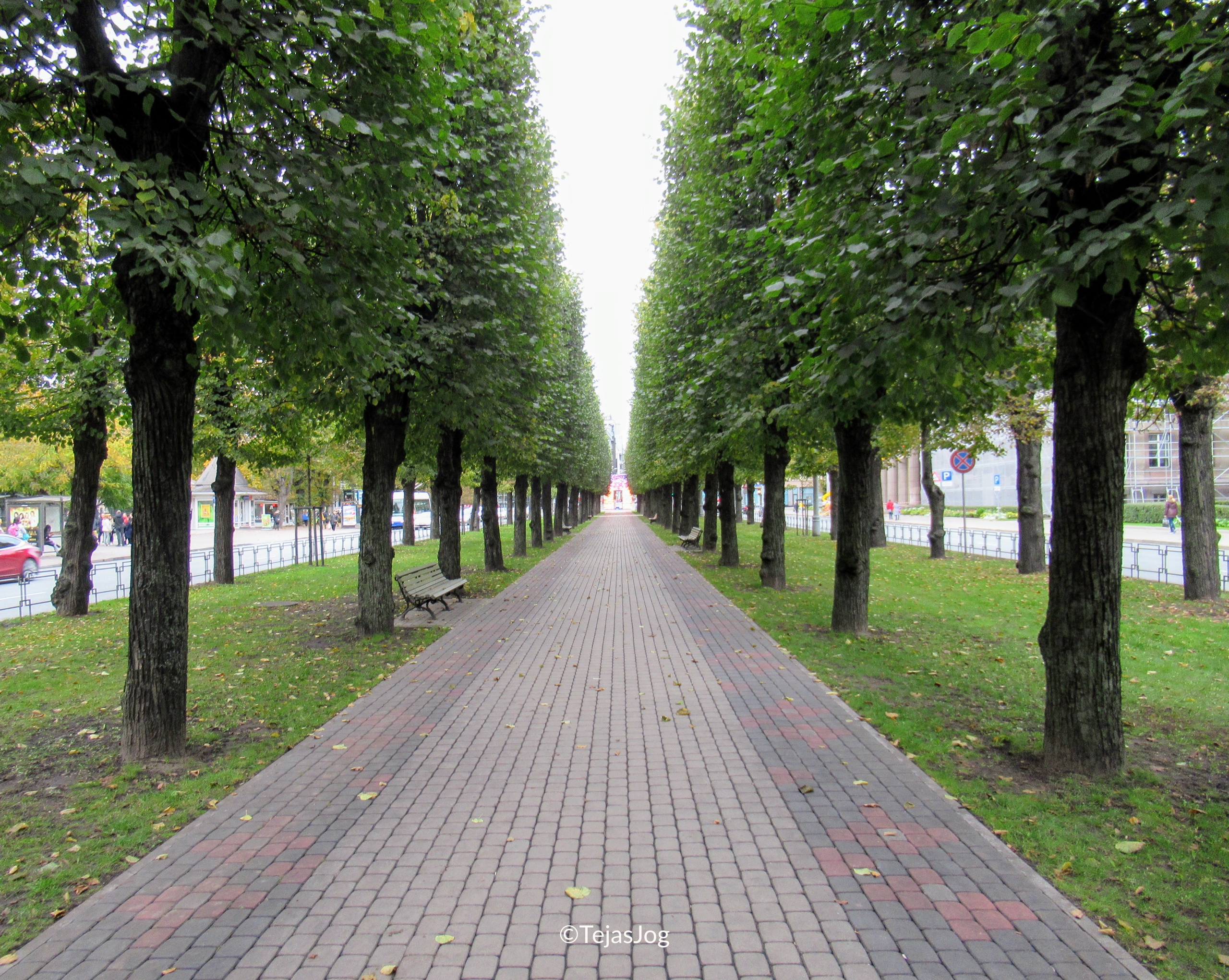 Freedom Boulevard Alley