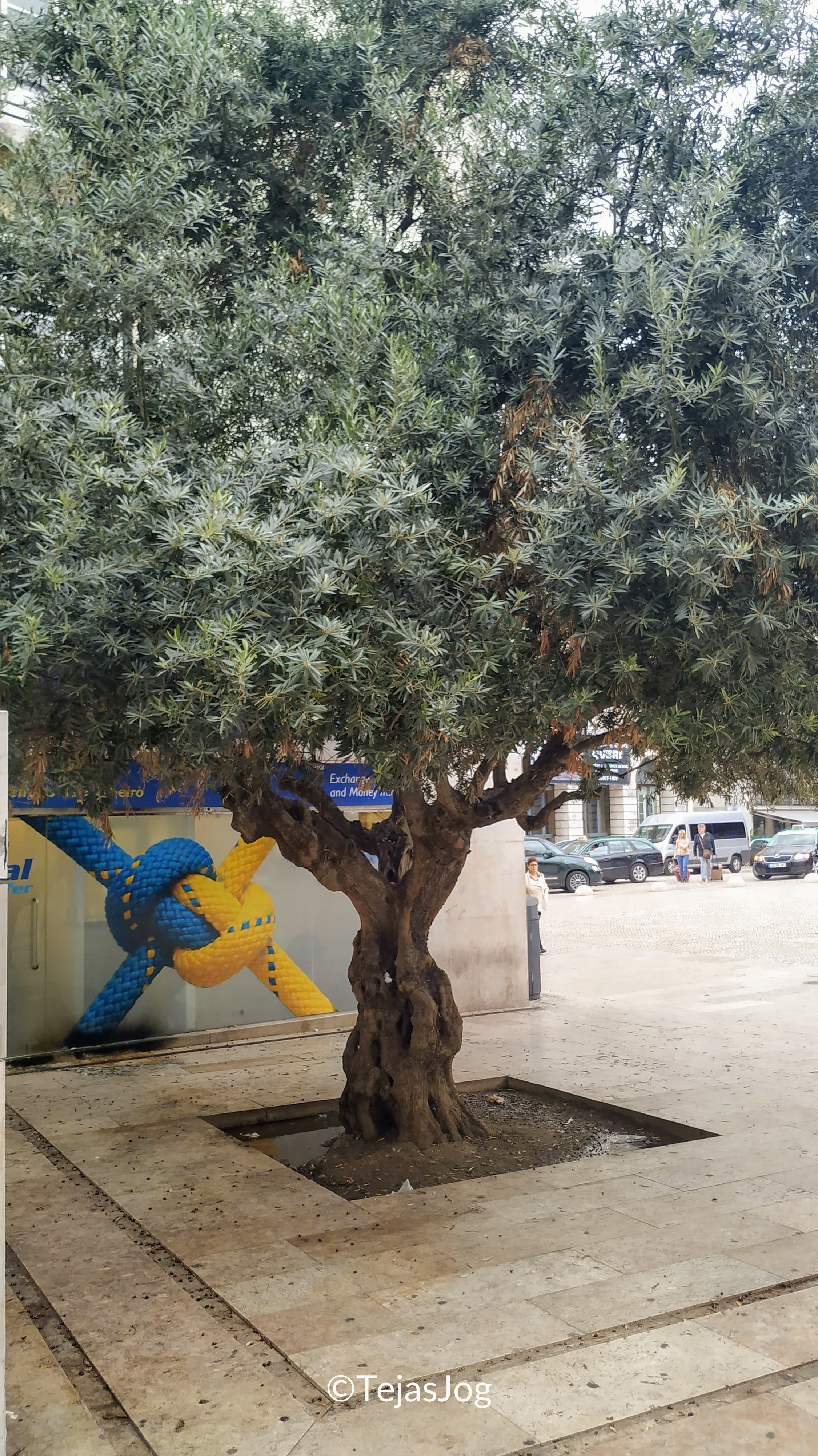 Largo S茫o Domingos Largo S茫o Domingos