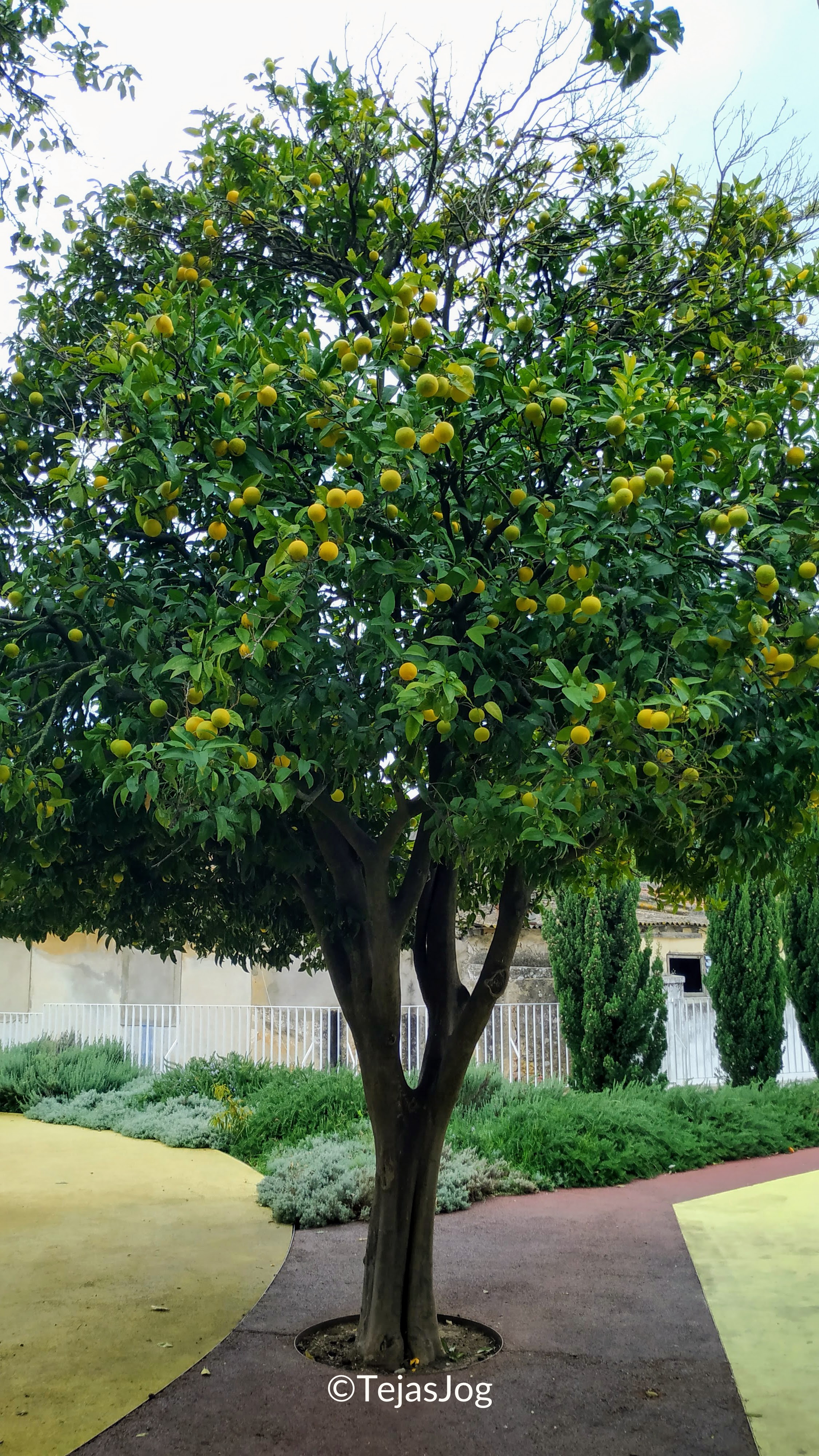 Parque Infantil e de Lazer do Recolhimento Parque Infantil e de Lazer do Recolhimento