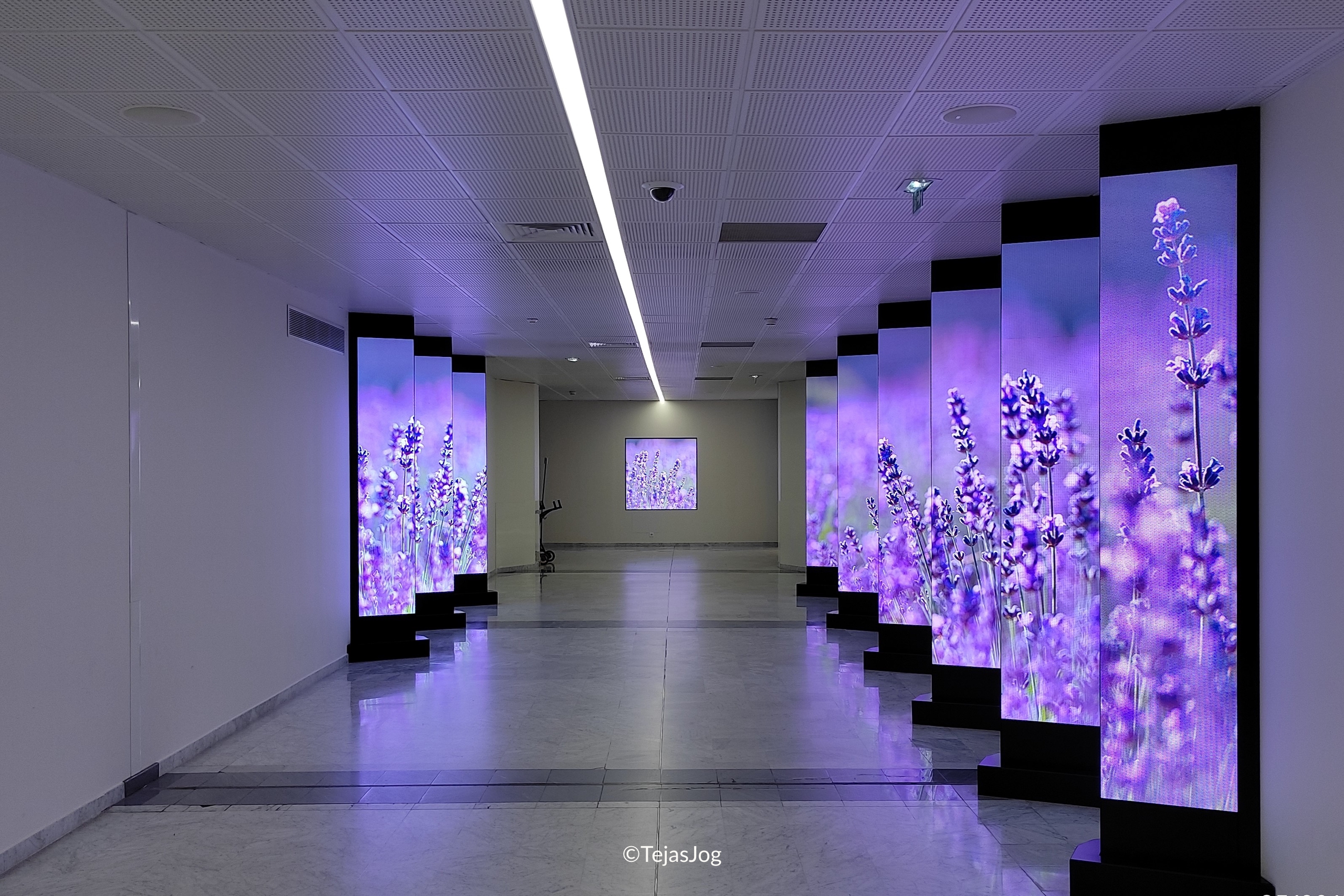 Nice Côte d'Azur Airport